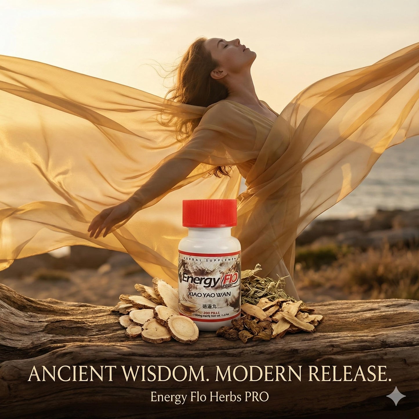 Energy Flo Xiao Yao Wan (Free & Easy Wanderer) Traditional Chinese Herbal Supplement with Bupleurum & Dong Quai for Liver Qi Support & Stress Balance, 200 Tablets