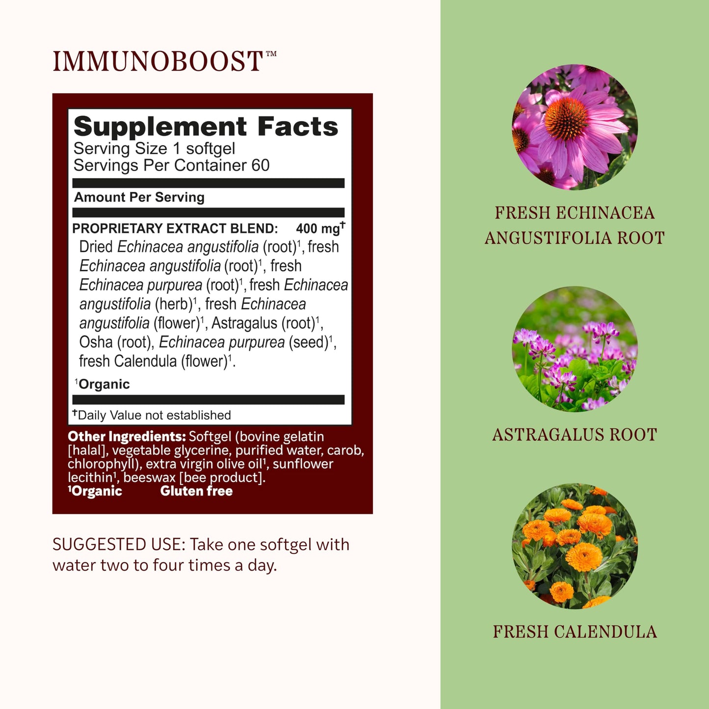 Herbs Etc. ImmunoBoost Softgels 60 Count
