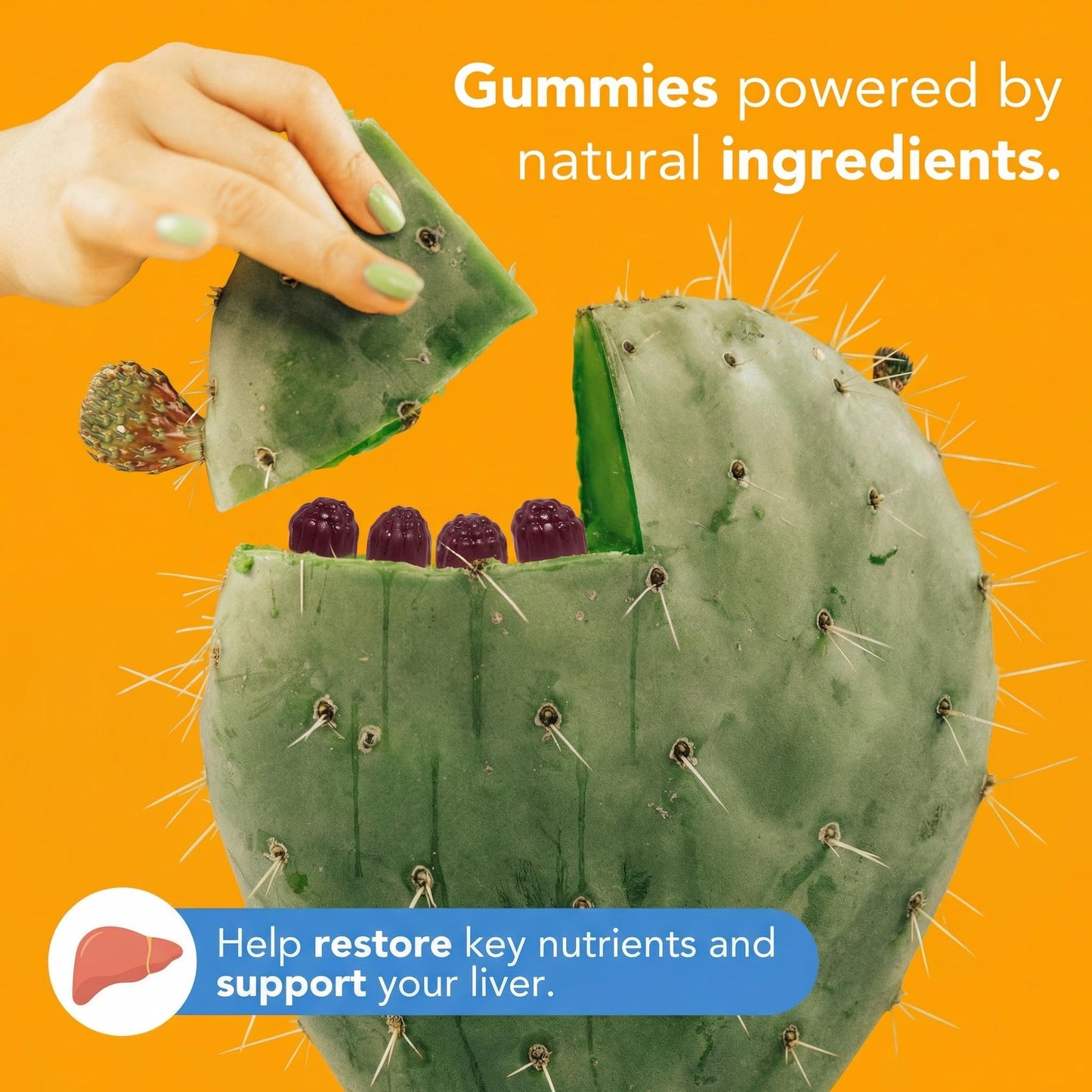 Toast! Before You Drink Gummy 1 Pack