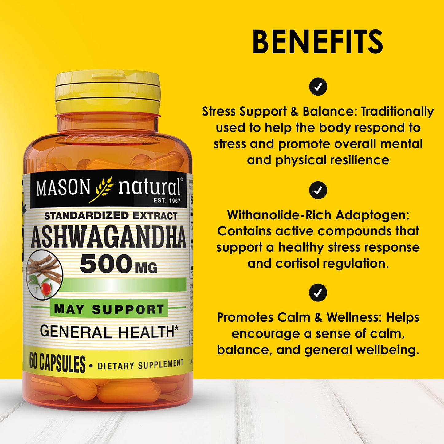 Mason Natural Ashwagandha 500 mg Adaptogen Capsule, 180 Count