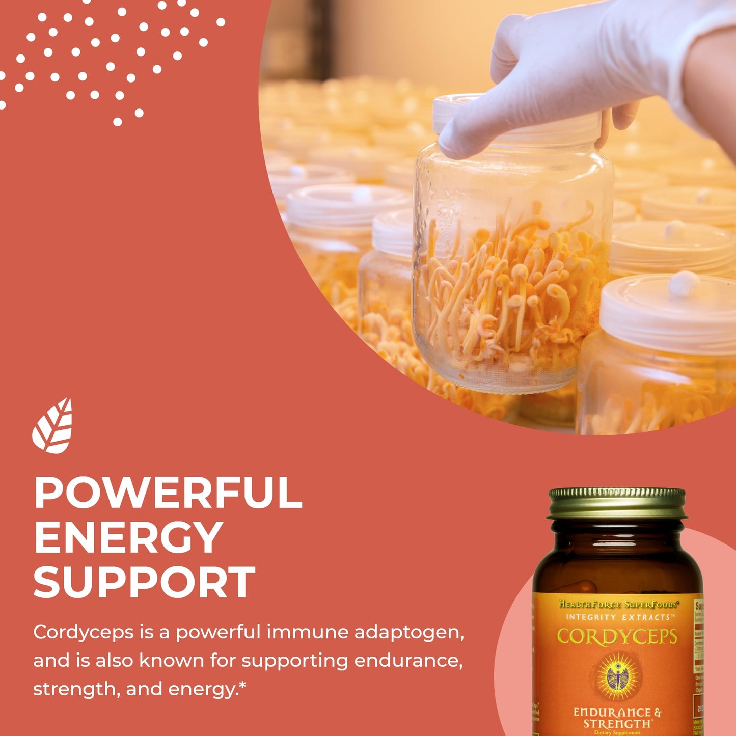 HealthForce SuperFoods Integrity Extracts Cordyceps Capsules, 90 Vegan Capsules
