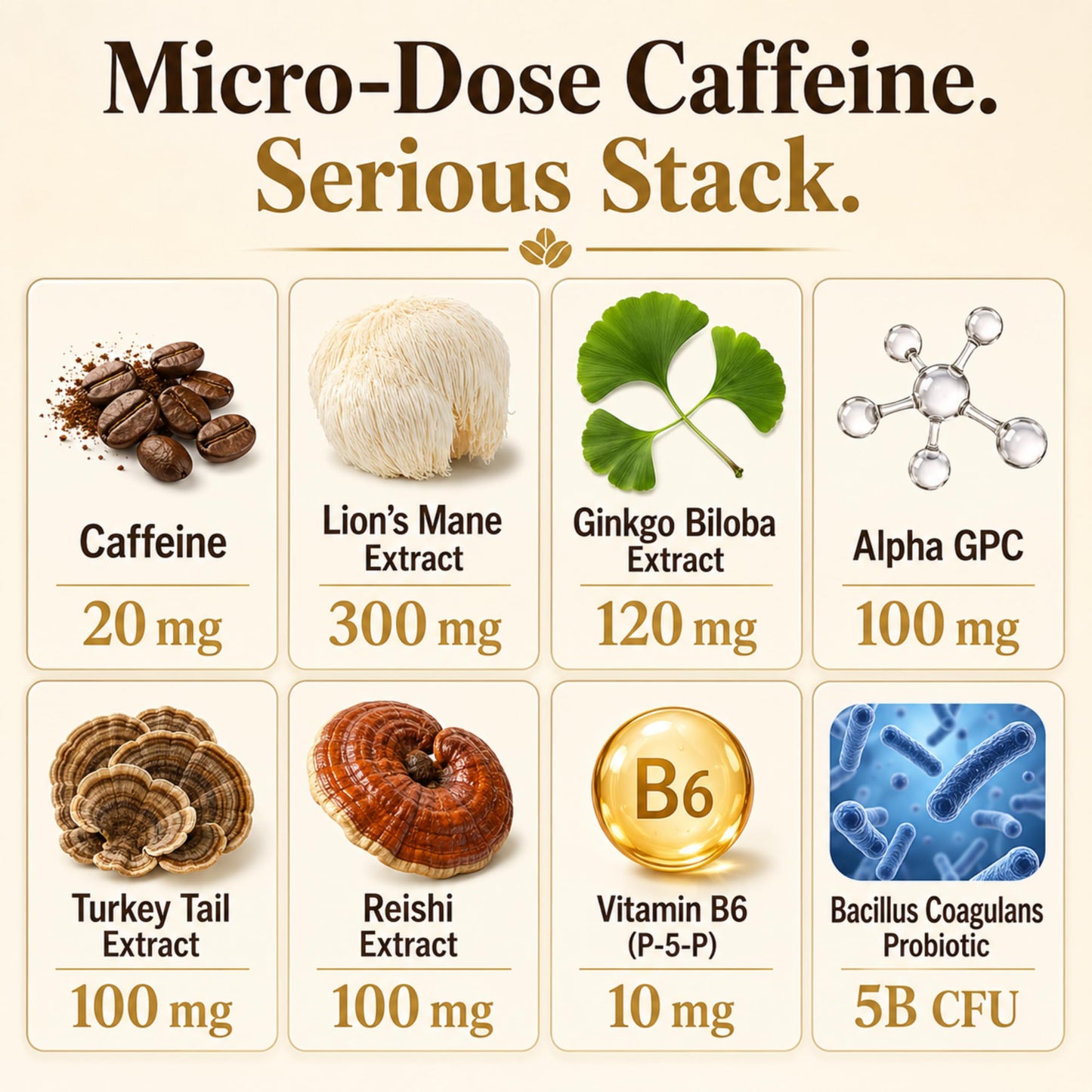 SHIZAM Mushroom Coffee Gummies with Lion’s Mane, Ginkgo Biloba, Alpha GPC & B6 P5P, 60 Count