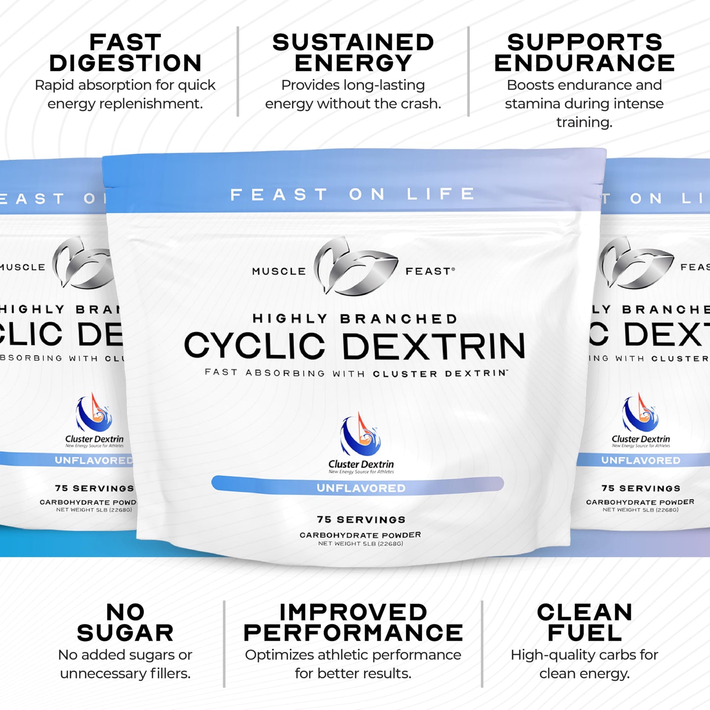 Muscle Feast Highly Branched Cyclic Dextrin Powder 80 Servings