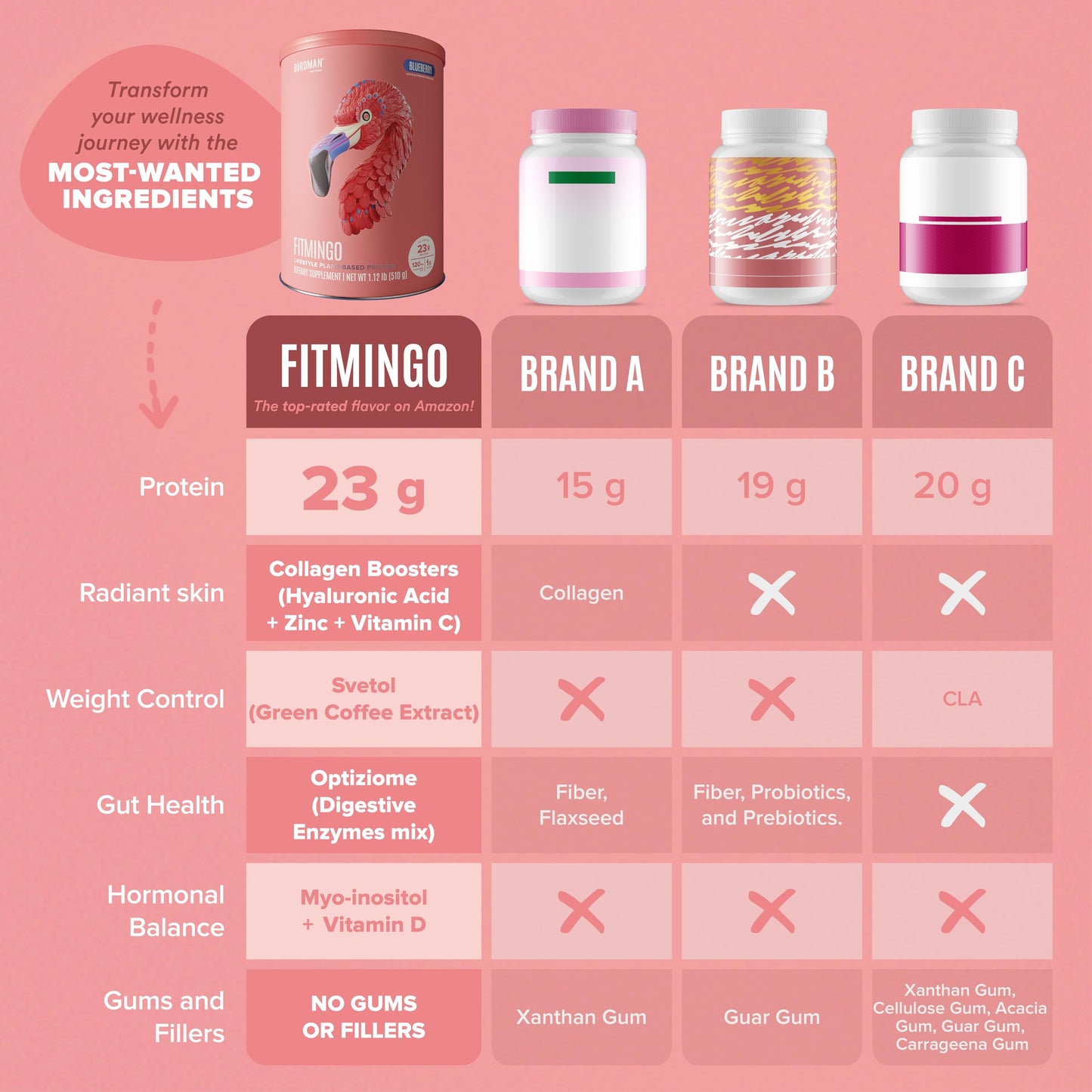 BIRDMAN Fitmingo Vegan Protein Powder 18