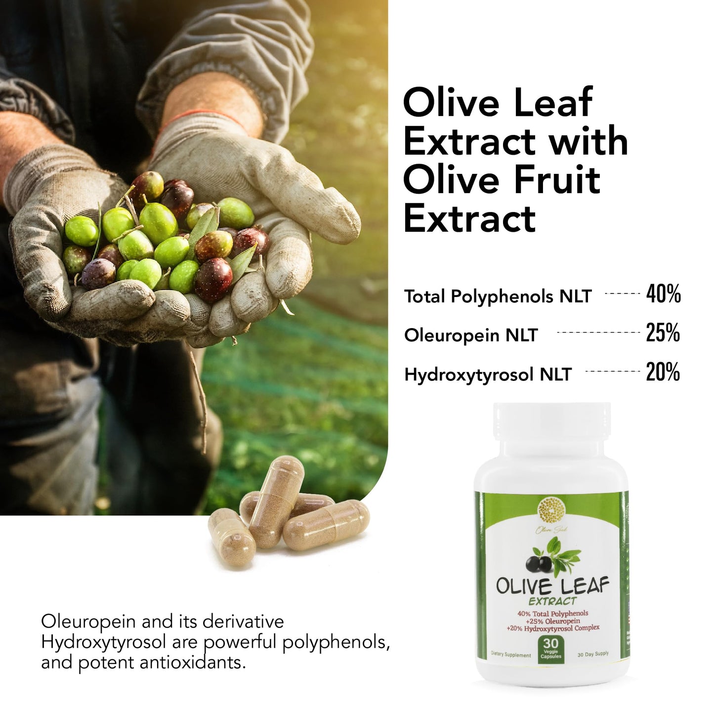 Olive Seed Olive Leaf Extract 500mg Capsule, 30 Capsules