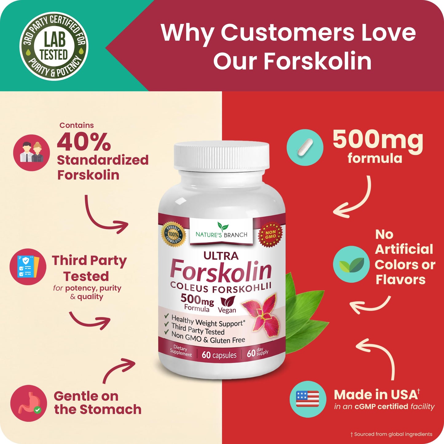 Nature's Branch Ultra Forskolin Supplement 500mg, Coleus Forskohlii for Weight Management Vegan Capsules 60 Count