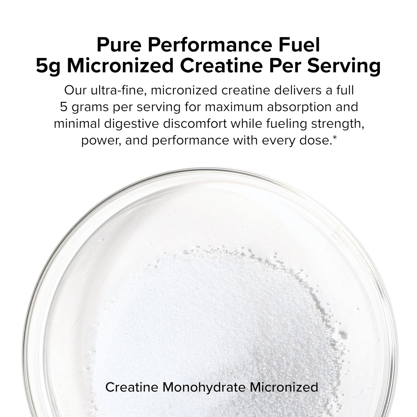 InnoSupps Creatine Monohydrate Powder 8.8 Ounce (Pack of 1)