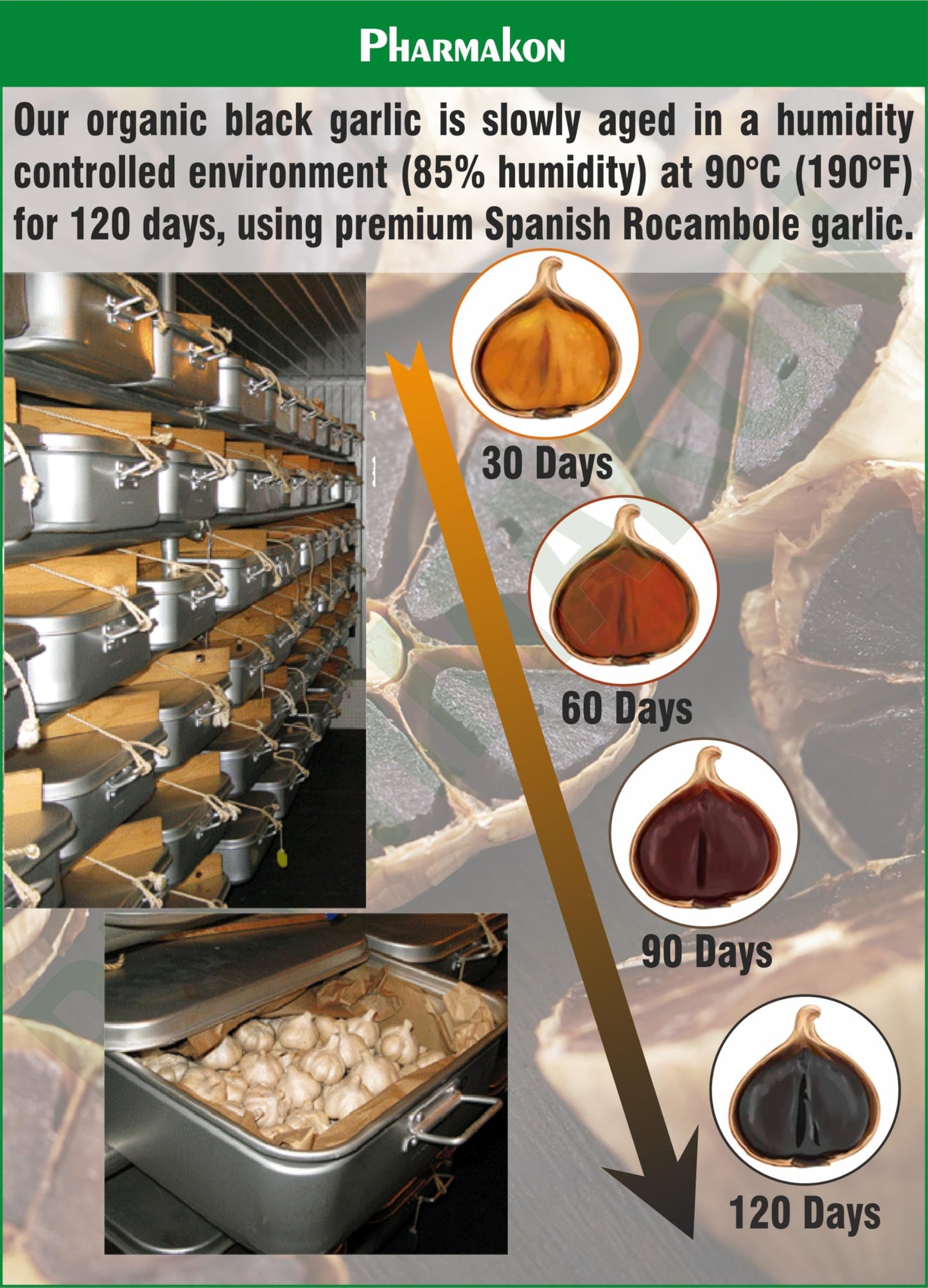 PHARMAKON Organic Aged Black Garlic Capsules, 120 Count