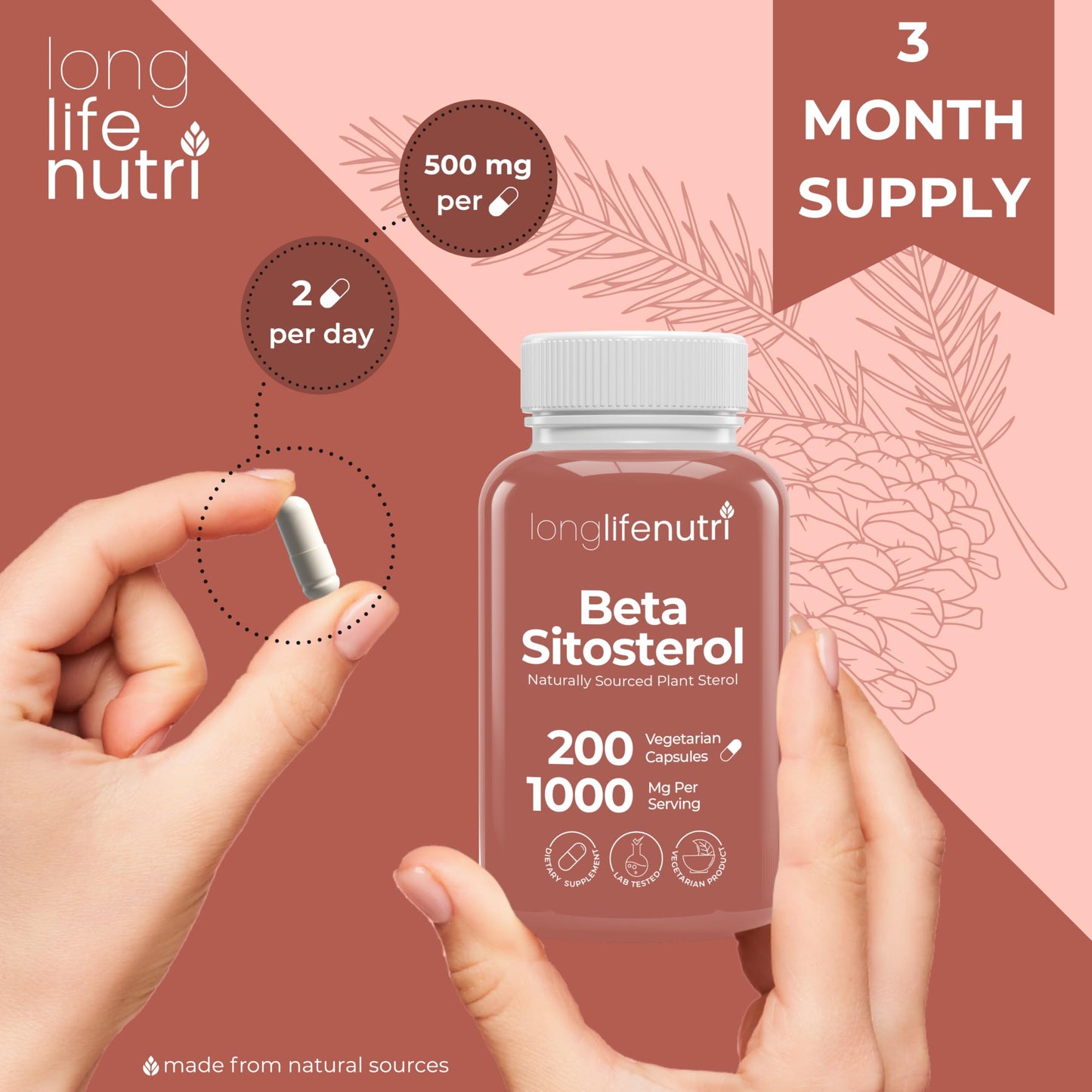LongLifeNutri Beta Sitosterol 1000mg Phytosterols Supplement Capsule, 180 Count