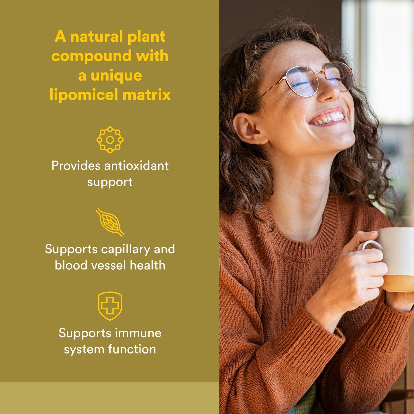 Natural Factors Quercetin LipoMicel Matrix Softgels 30