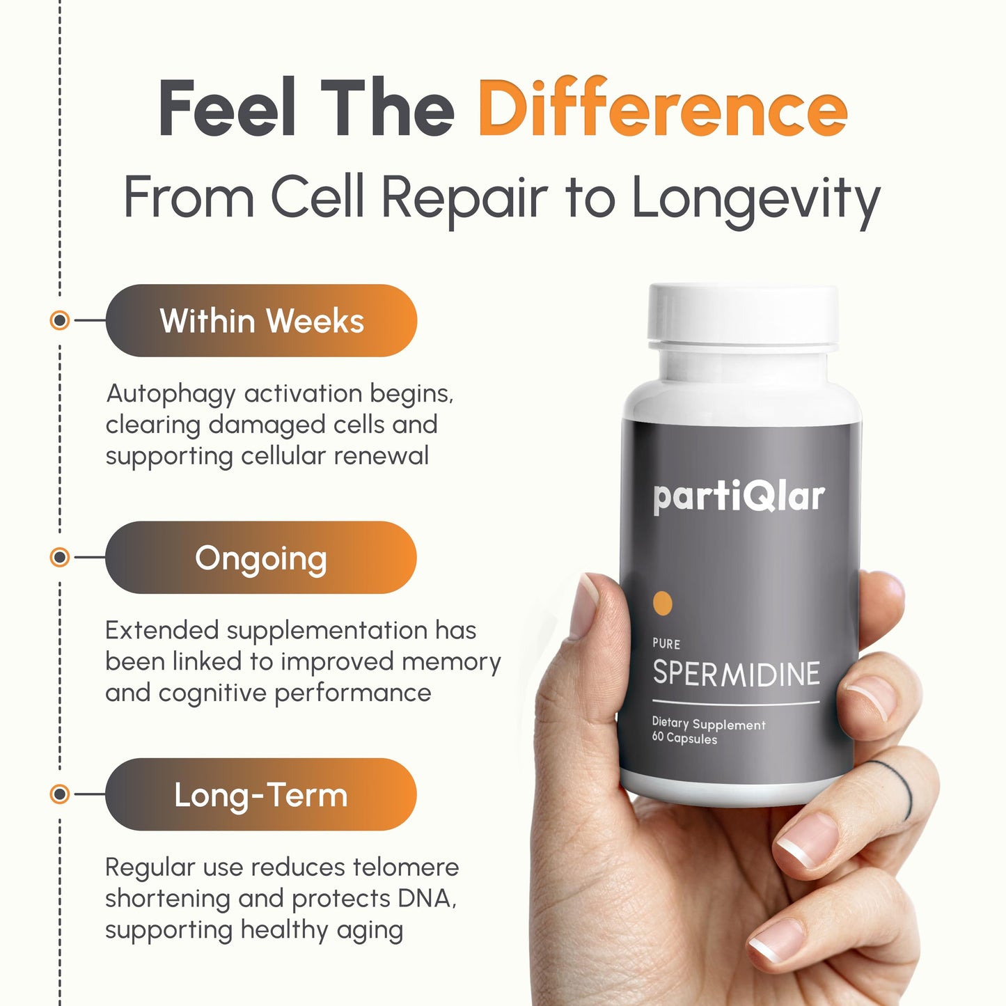 partiQlar Spermidine Supplements for Men & Women - 10mg Longevity Capsule, 60 Count