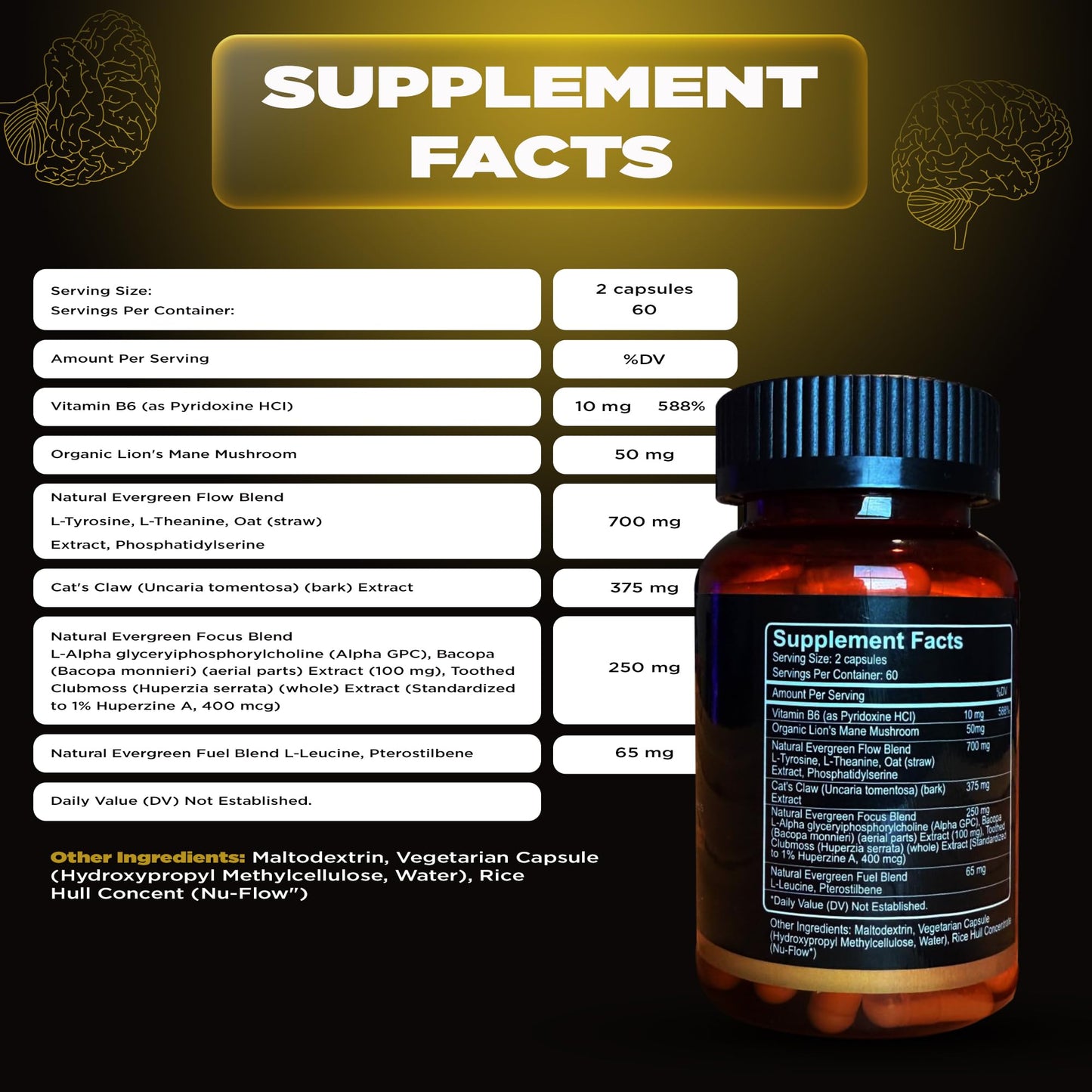 Natural Evergreen Brain Supplements for Memory and Focus Nootropic Capsule, 120 Count