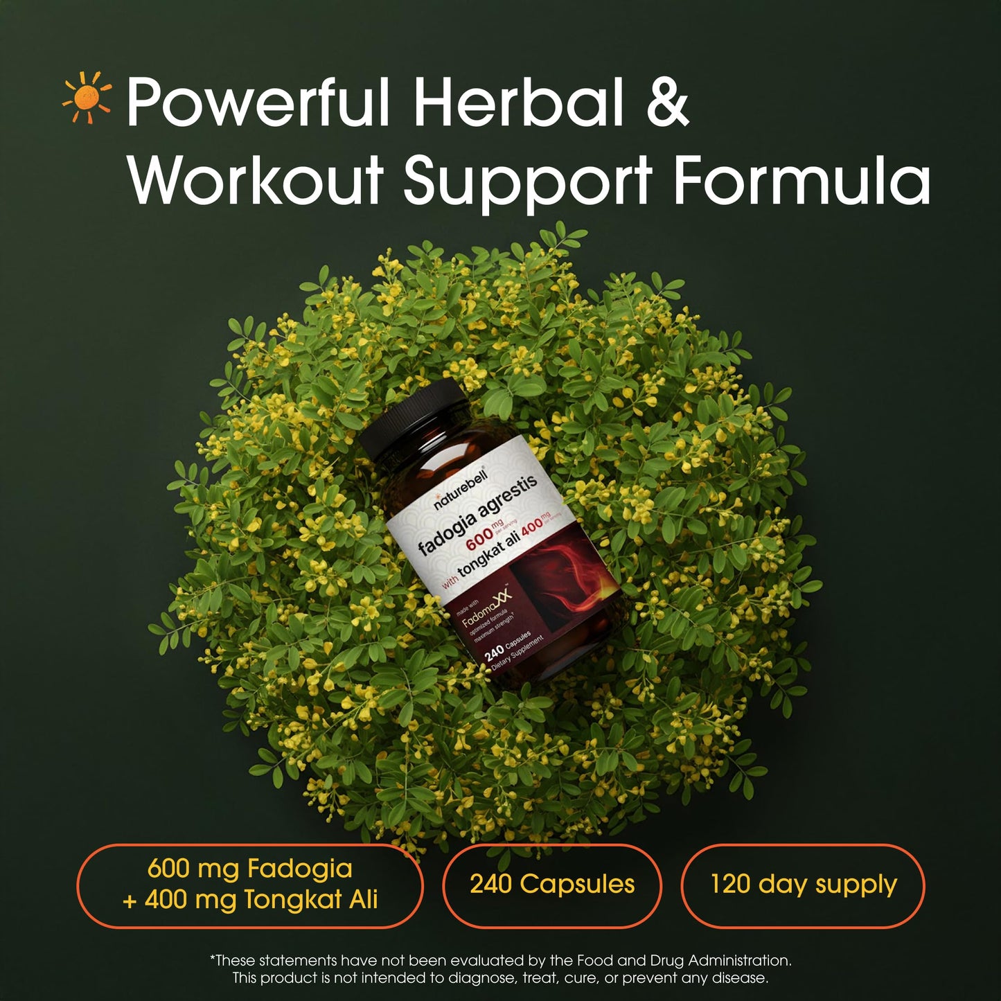NatureBell Fadogia Agrestis 600mg & Tongkat Ali 400mg Capsules, 240 Count