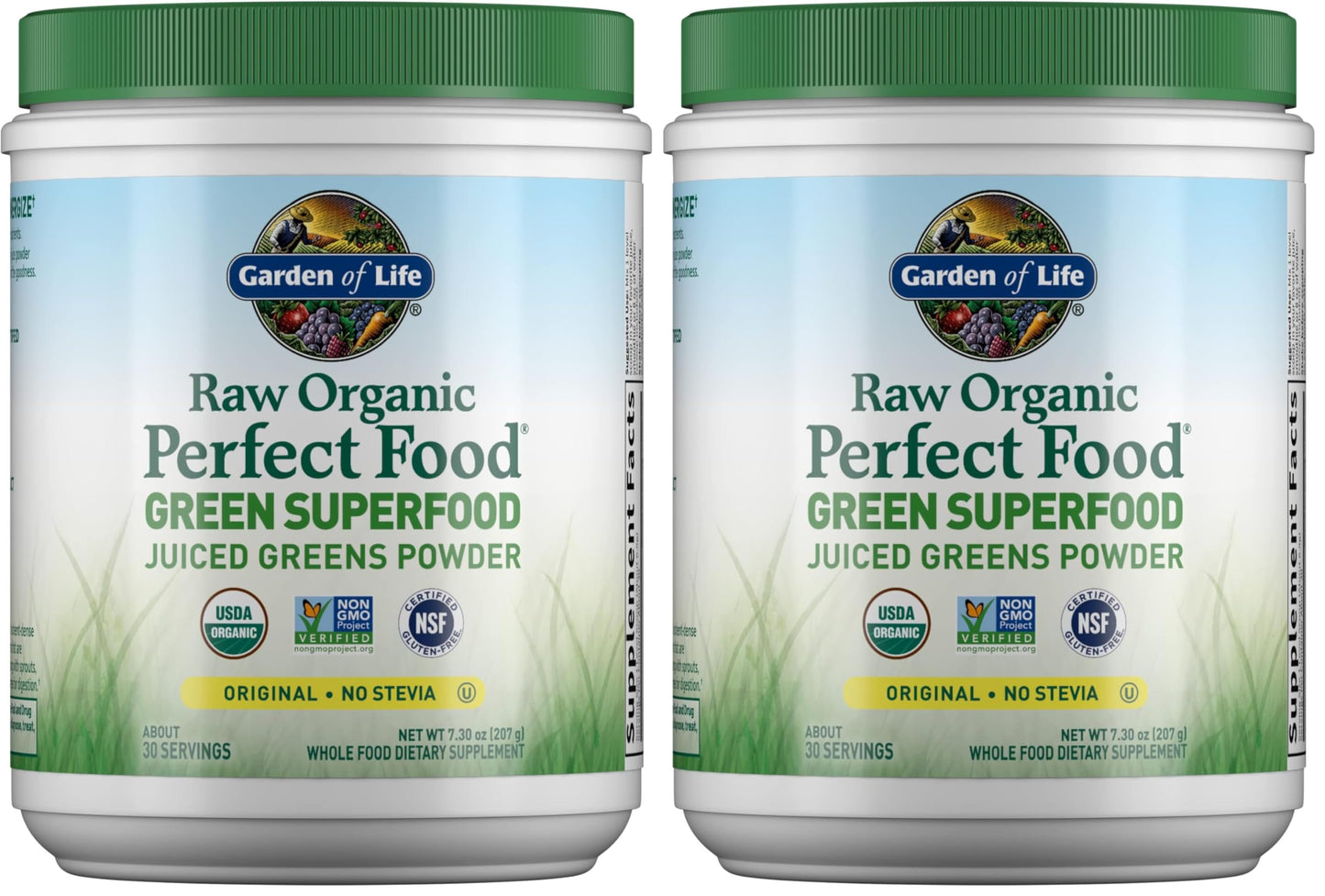 Garden of Life Raw Organic Perfect Food Green Superfood Juiced Greens Powder 14.6