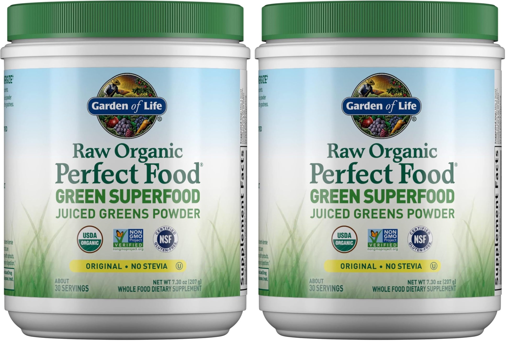 Garden of Life Raw Organic Perfect Food Green Superfood Juiced Greens Powder 14.6