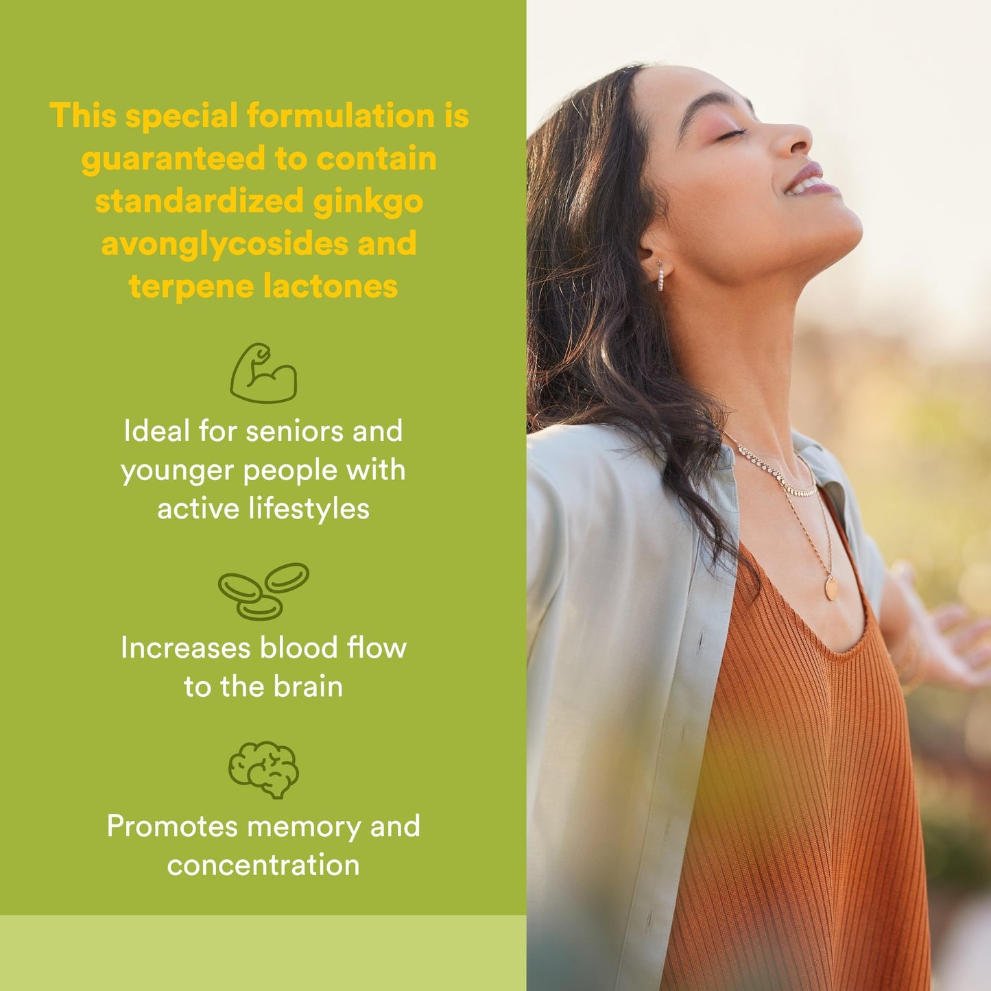 Natural Factors Ginkgo Biloba Capsule, 60 Capsules