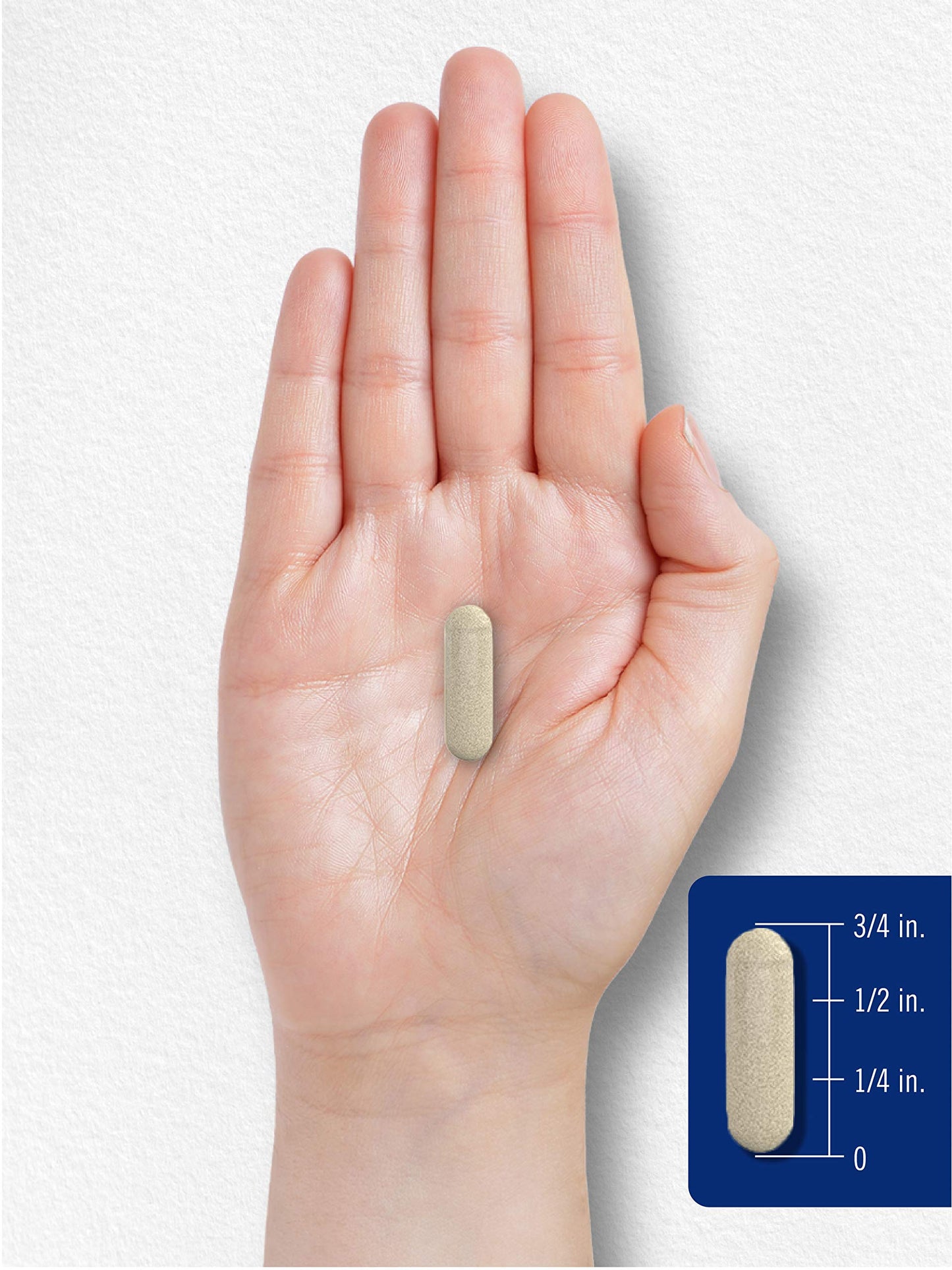 Carlyle Butterbur Supplement 150 mg Capsule, 180 Capsules