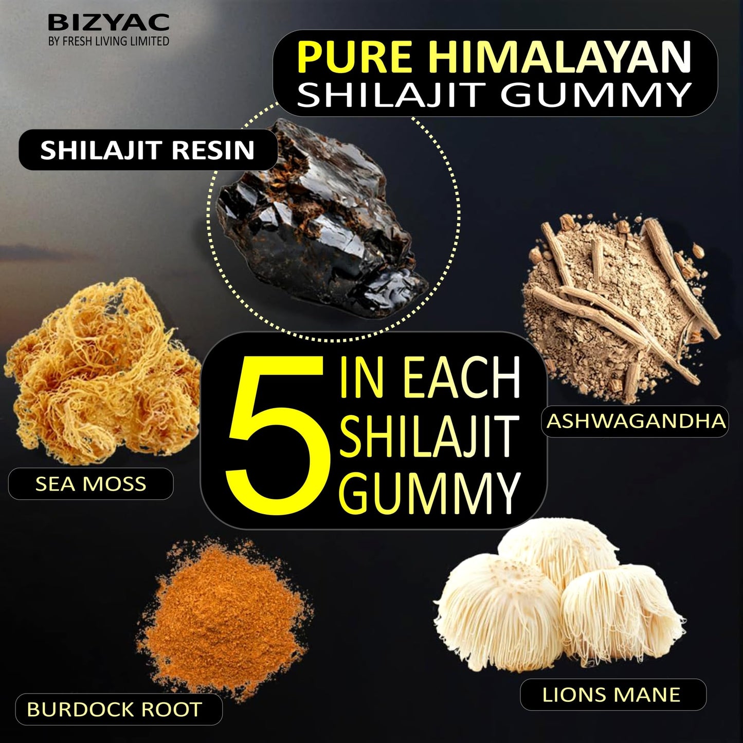 BIZYAC Shilajit Gummies, 60 Gummies