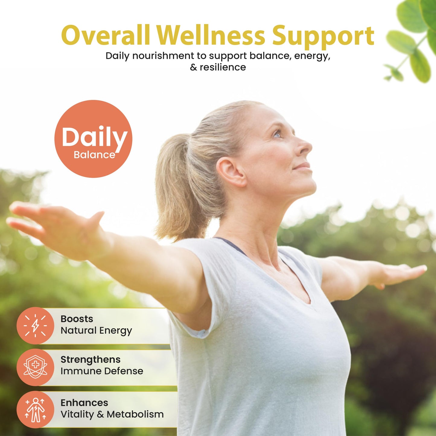 Bella All Natural Moringa Capsules Capsule 60 Count