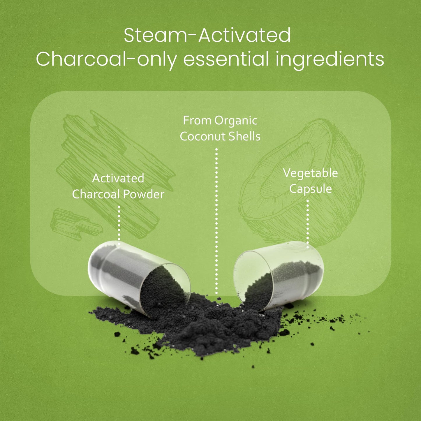NaturaLife Labs Activated Charcoal 1200 mg per Serving from Coconut Shells, 100 Capsules