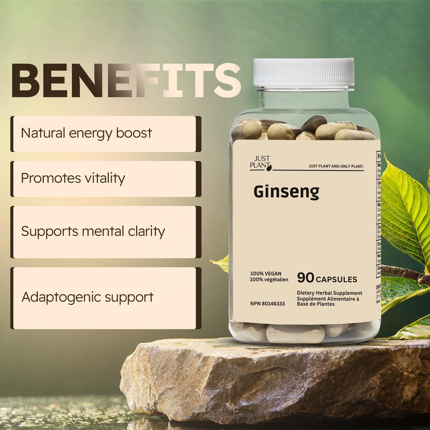 Just Plant Ginseng Root Extract Capsules 750 mg, 90 Count