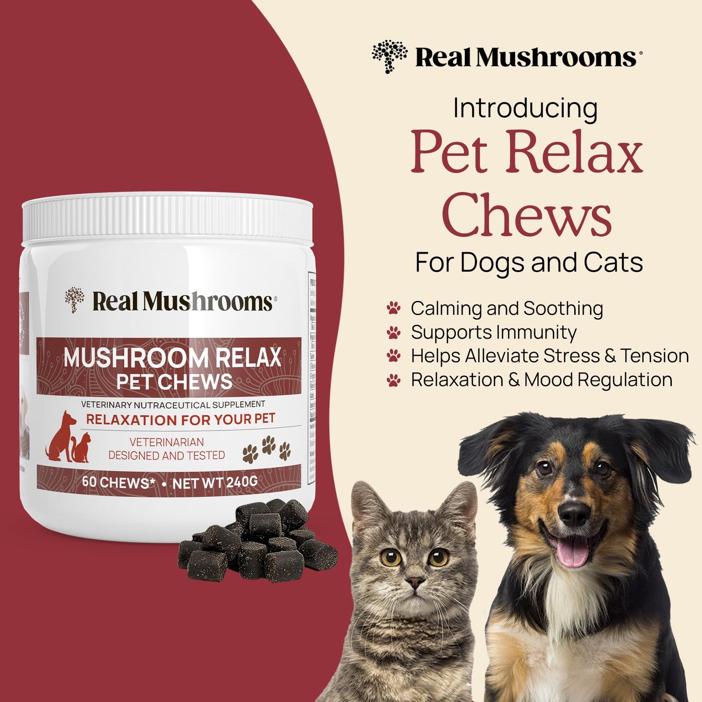 Real Mushrooms Turkey Tail for Humans & Mushroom Pet Relax Chews Capsule Bundle, 2-Pack