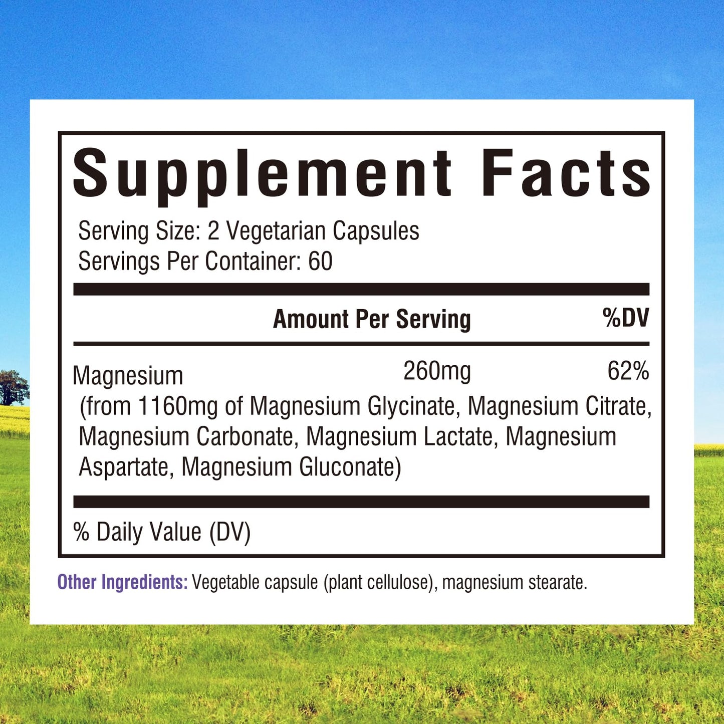 Innate Vitality Magnesium Complex 6-in-1 Capsules, 120 Count