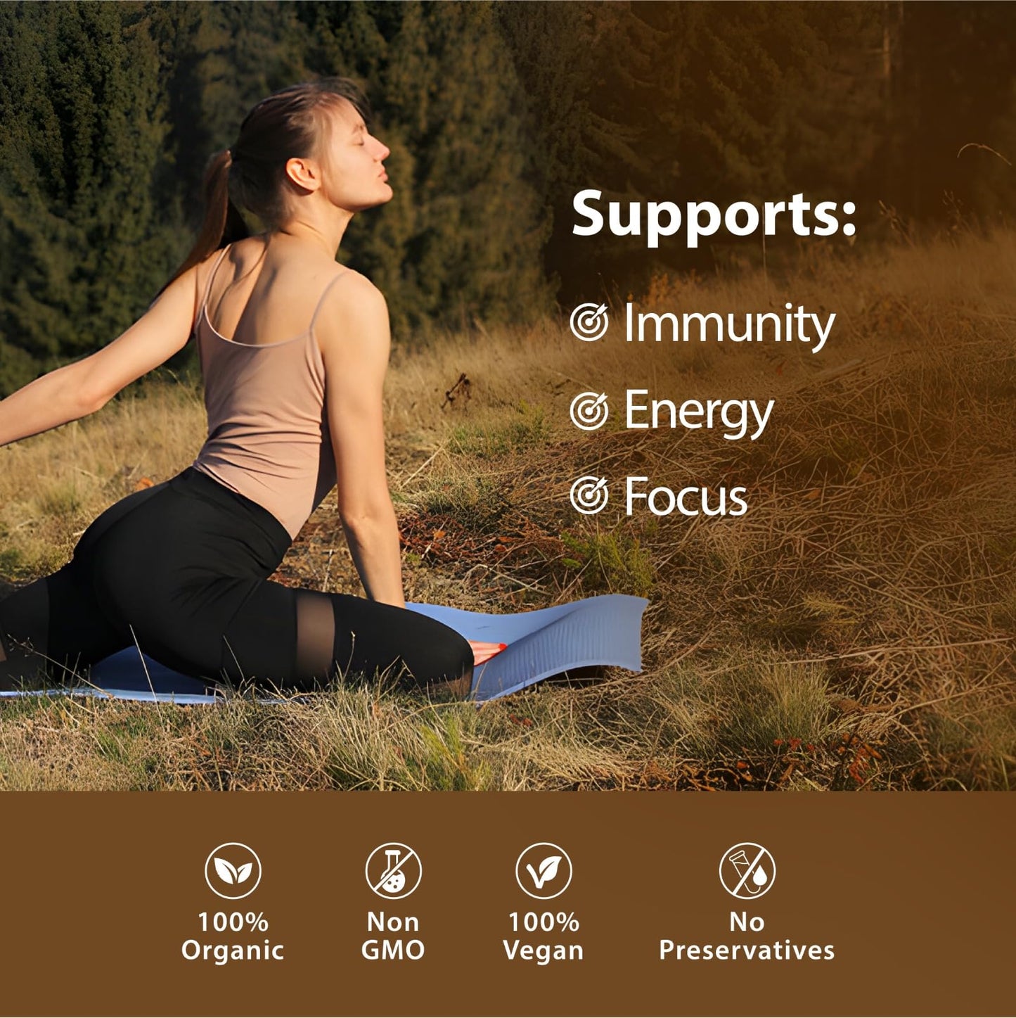 YOGA AURA Shilajit Resin Extract 500mg Capsules, 60 Count