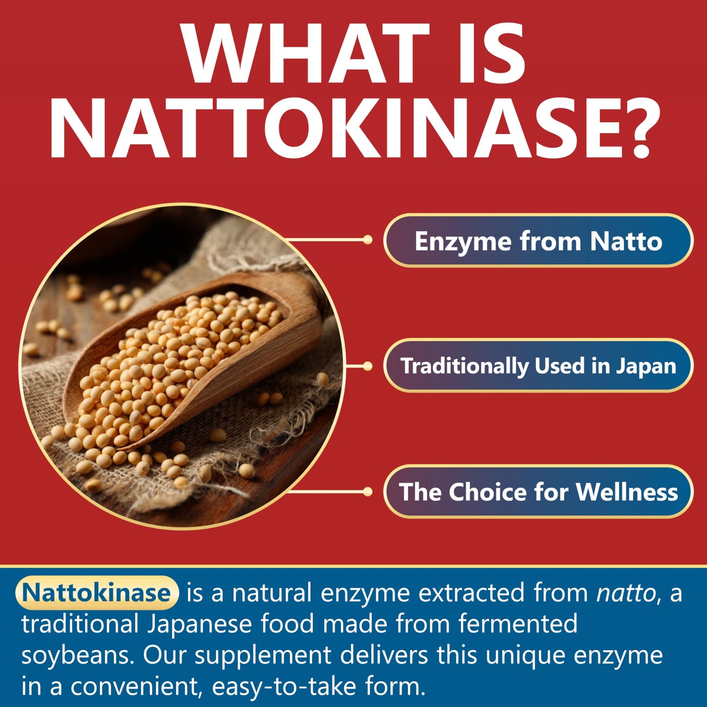 Kwala Nutrition Nattokinase Supplement Capsule, 60 Capsules