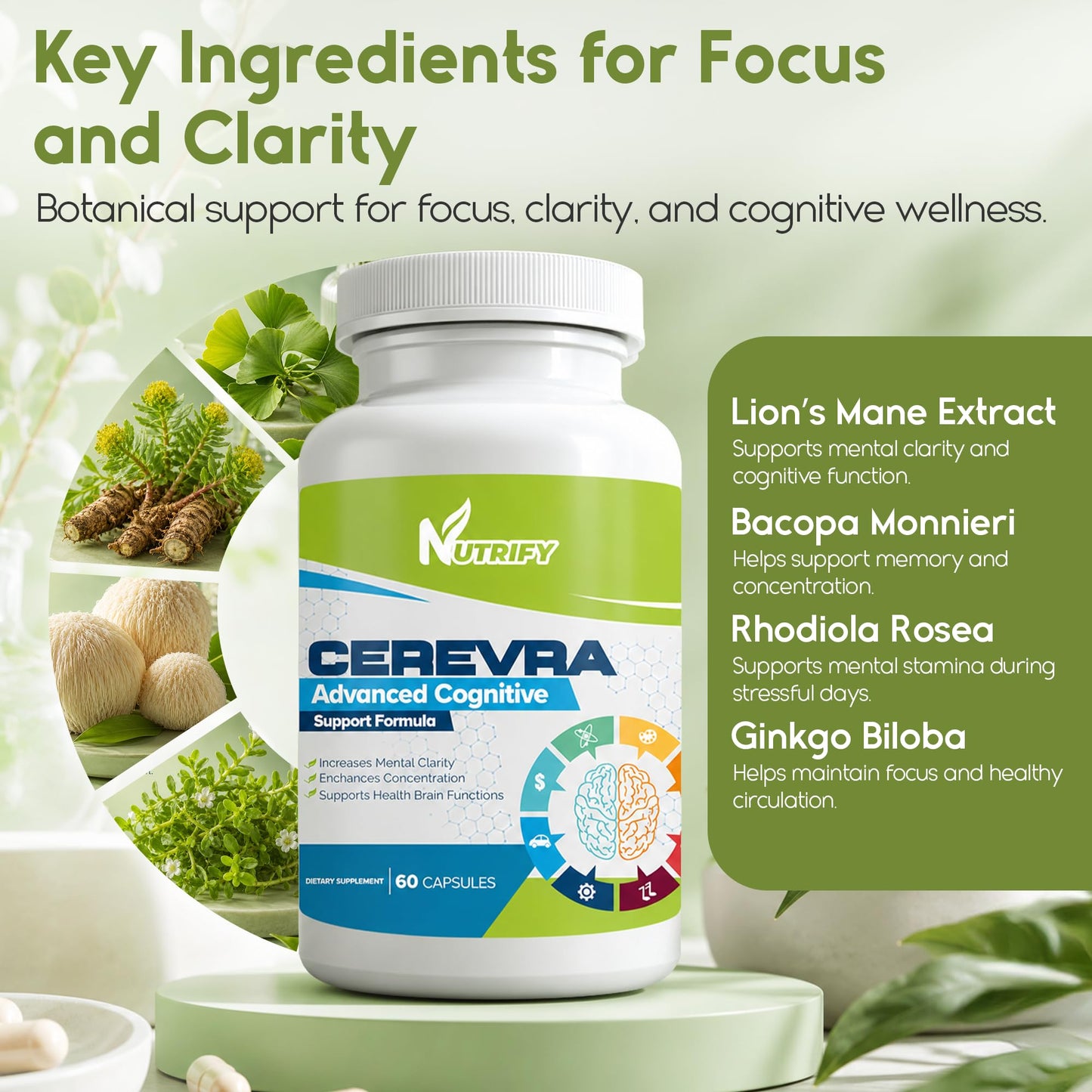 Generic Cerevra Powerful Nootropic Capsule, 60 Count