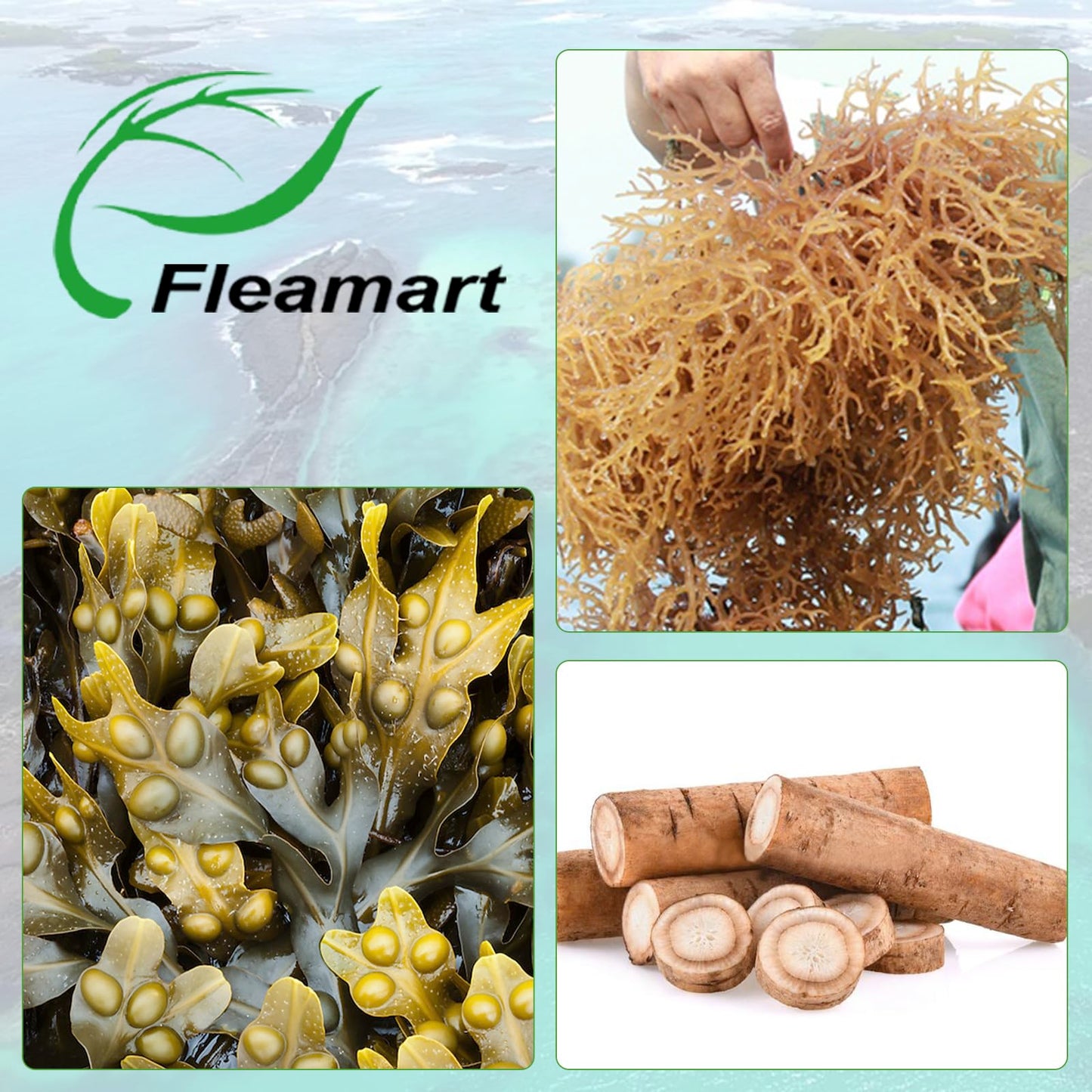Fleamart Irish Sea Moss Capsules, 120 Count