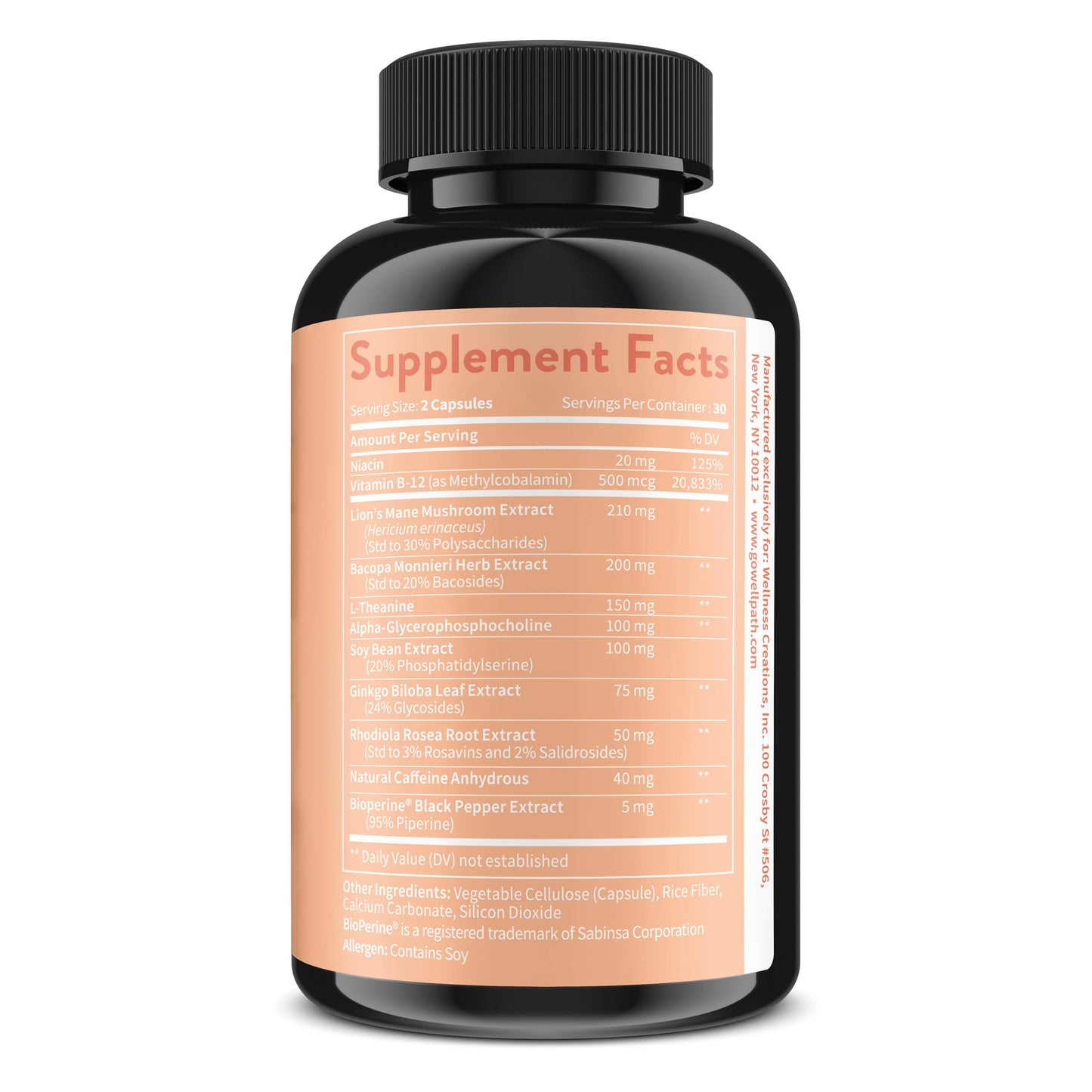 WellPath Apple Cider Vinegar with Mother Gummies & Lion's Mane Mind & Brain Support, 120 Gummies