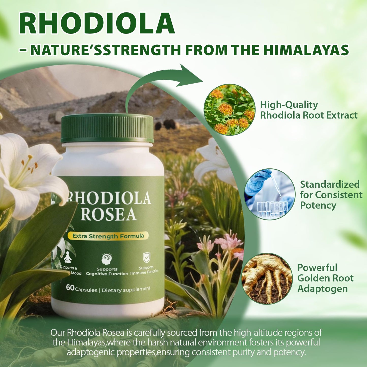 Purpleaf Rhodiola Rosea Extract 500mg Capsule, 60 Capsules