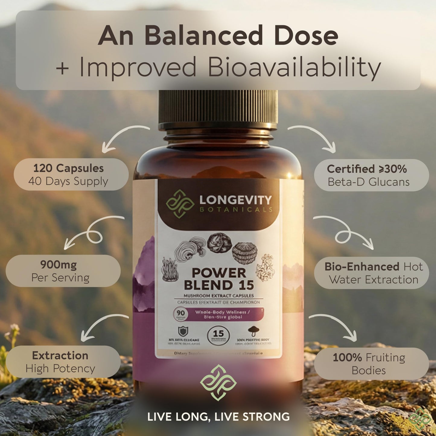 Longevity Botanicals Power 15 Mushroom Blend Capsules 90 Count
