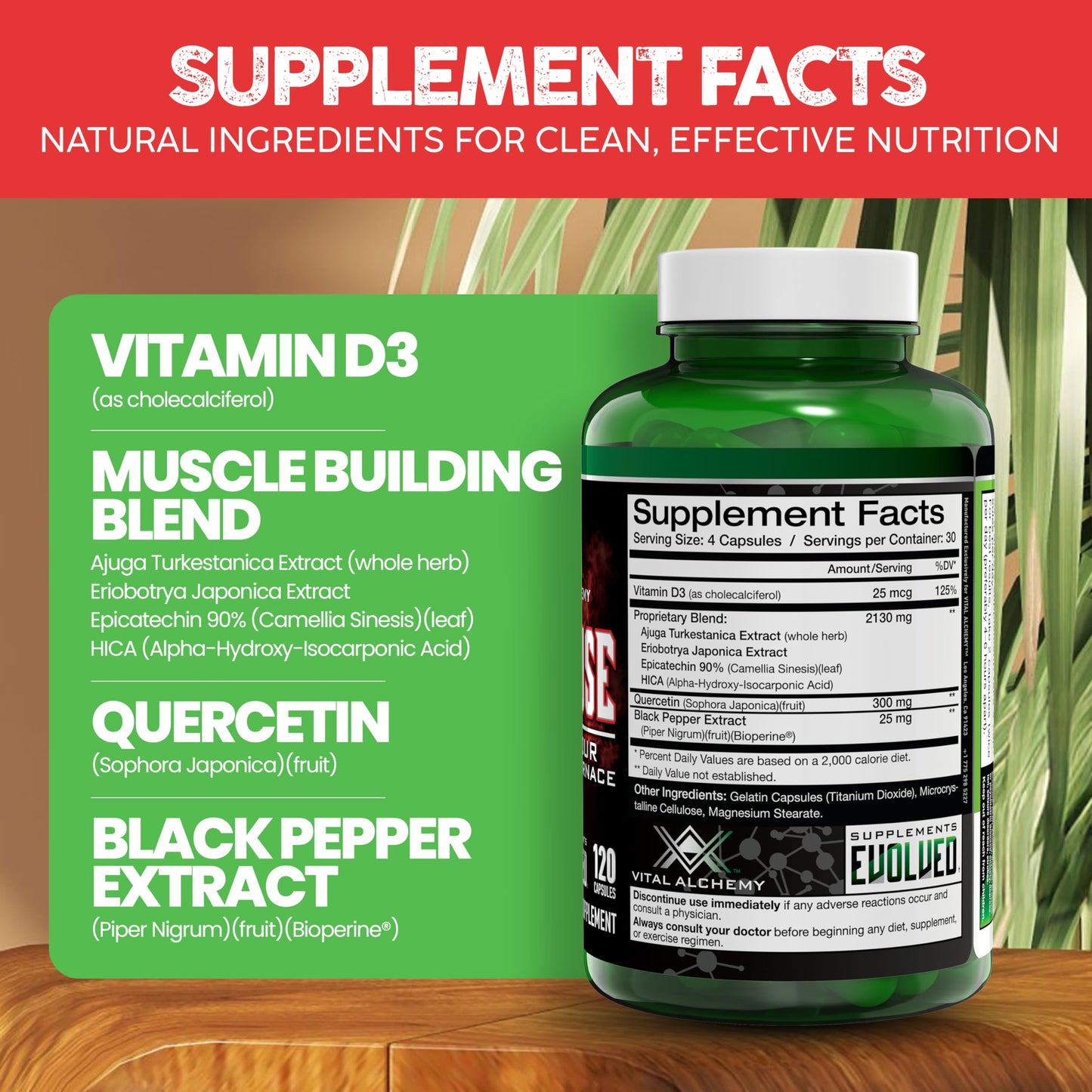 Vital Alchemy Supplements Anafuse Turkesterone Supplement 120 Capsules