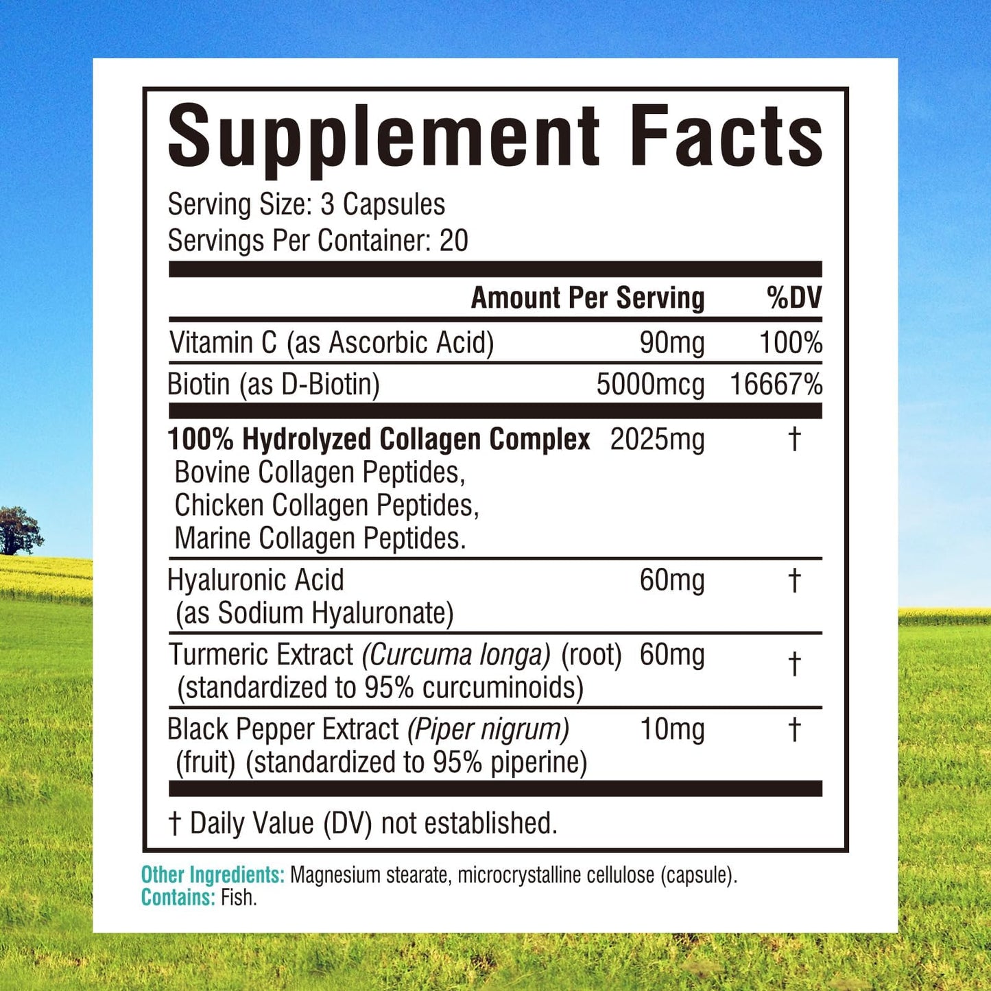 Innate Vitality Multi Collagen Peptides Type I, II, III, Vitamin C, Biotin, Hyaluronic Acid & Turmeric, 2025mg Hydrolyzed Collagen Capsules 60 Capsules
