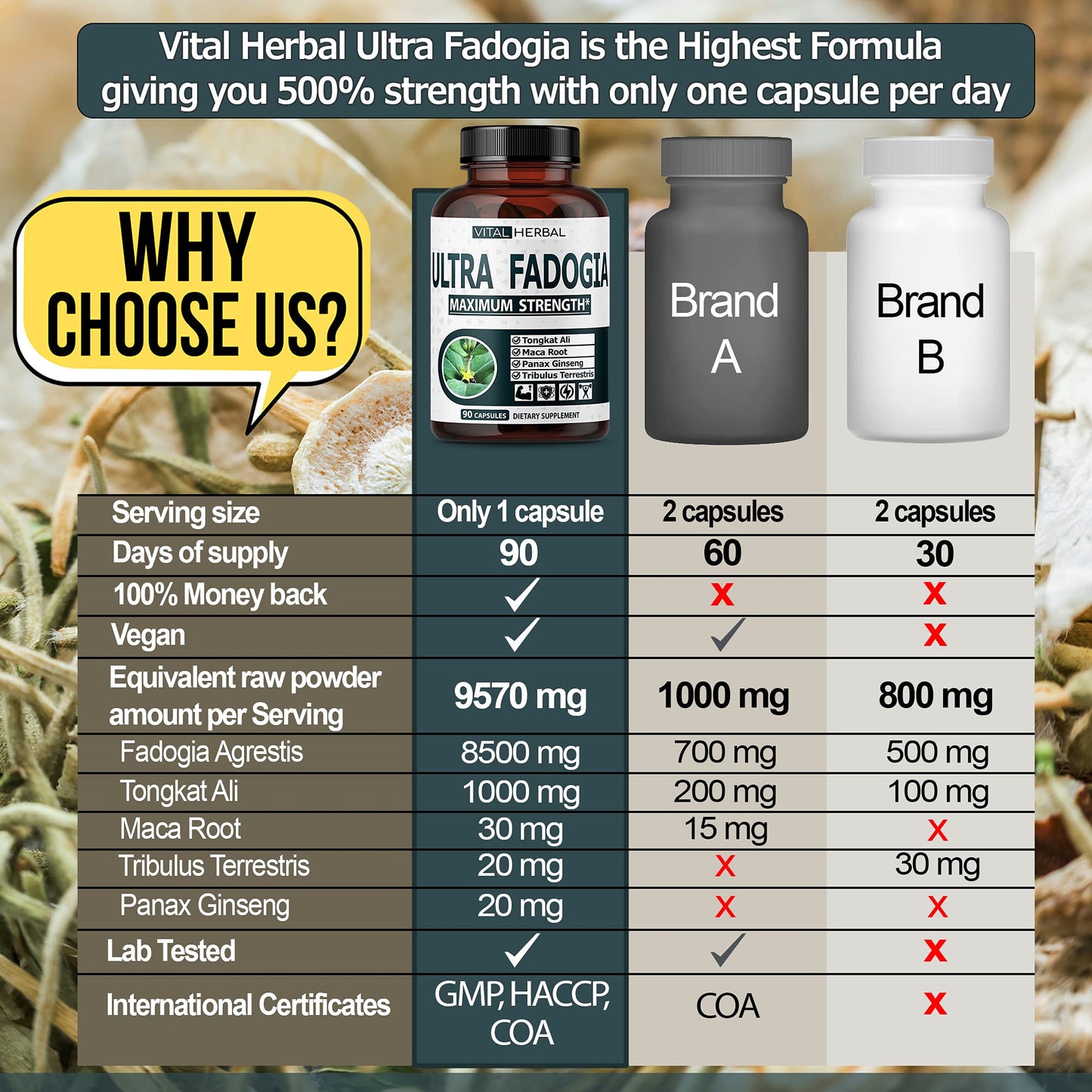 VITAL HERBAL Fadogia Agrestis with Tongkat Ali Capsules, 90 Count