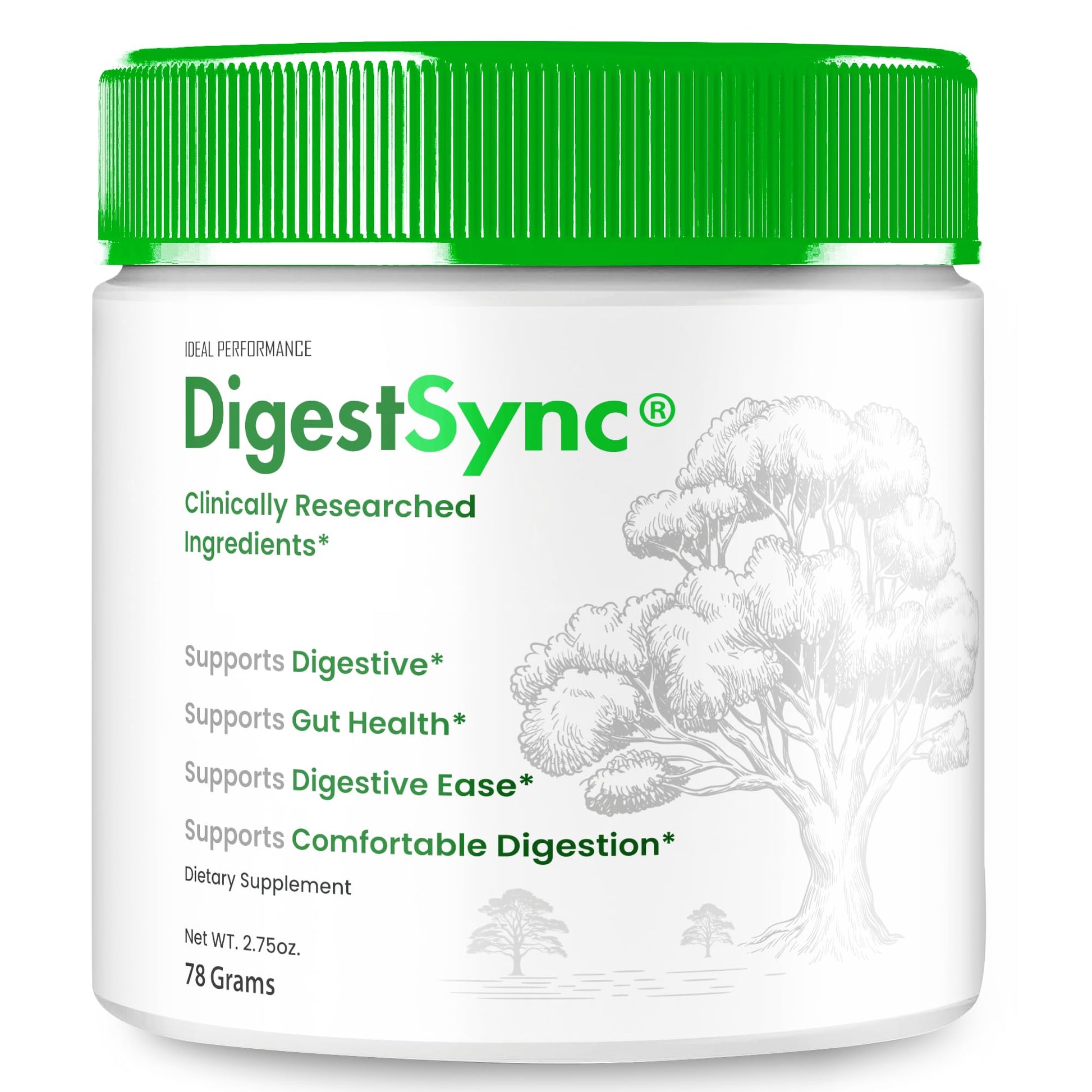 IDEAL PERFORMANCE DigestSync Gut Health Powder (2 Count)