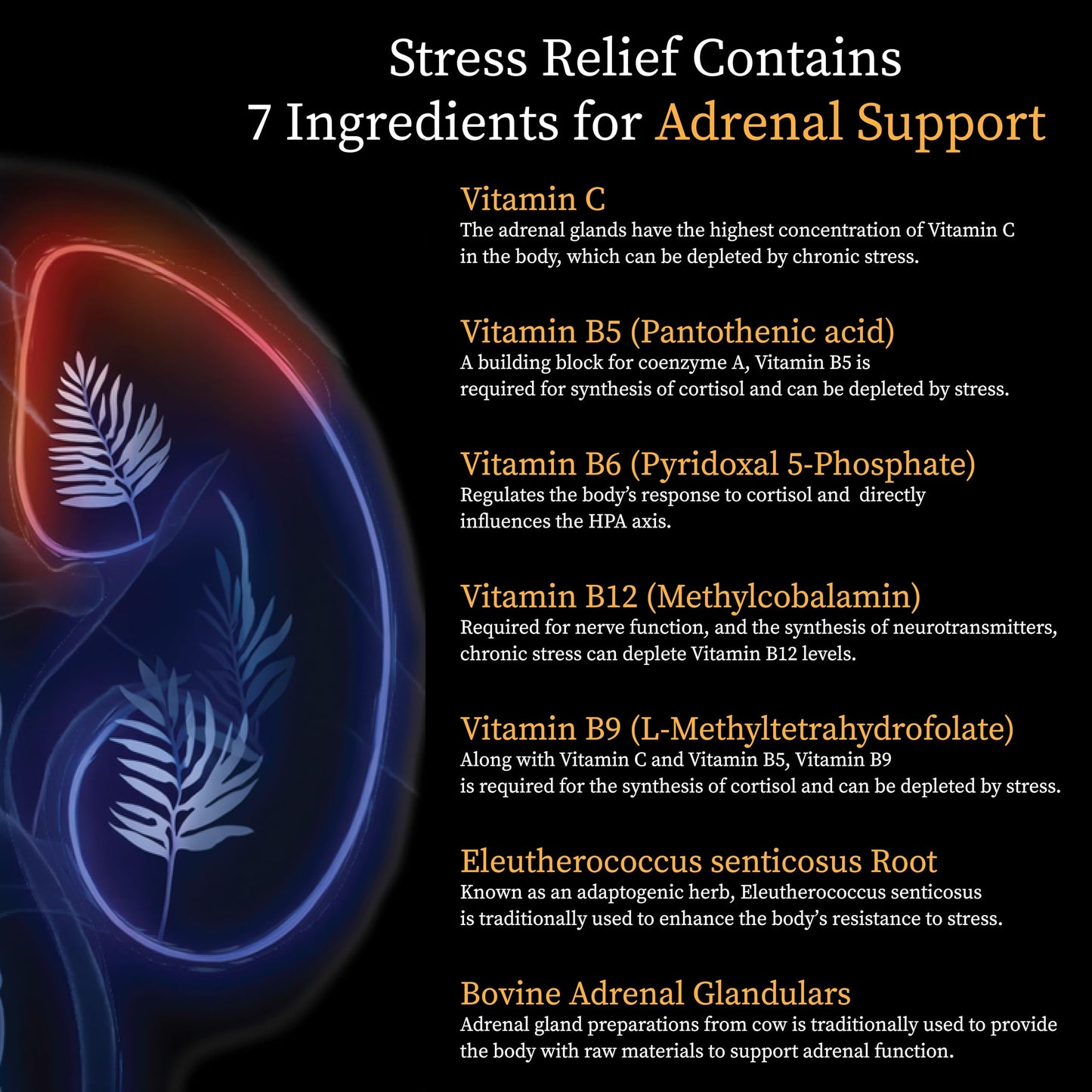 Root Recover Stress Relief Adrenal Aid Supplement Capsule, 60 Count