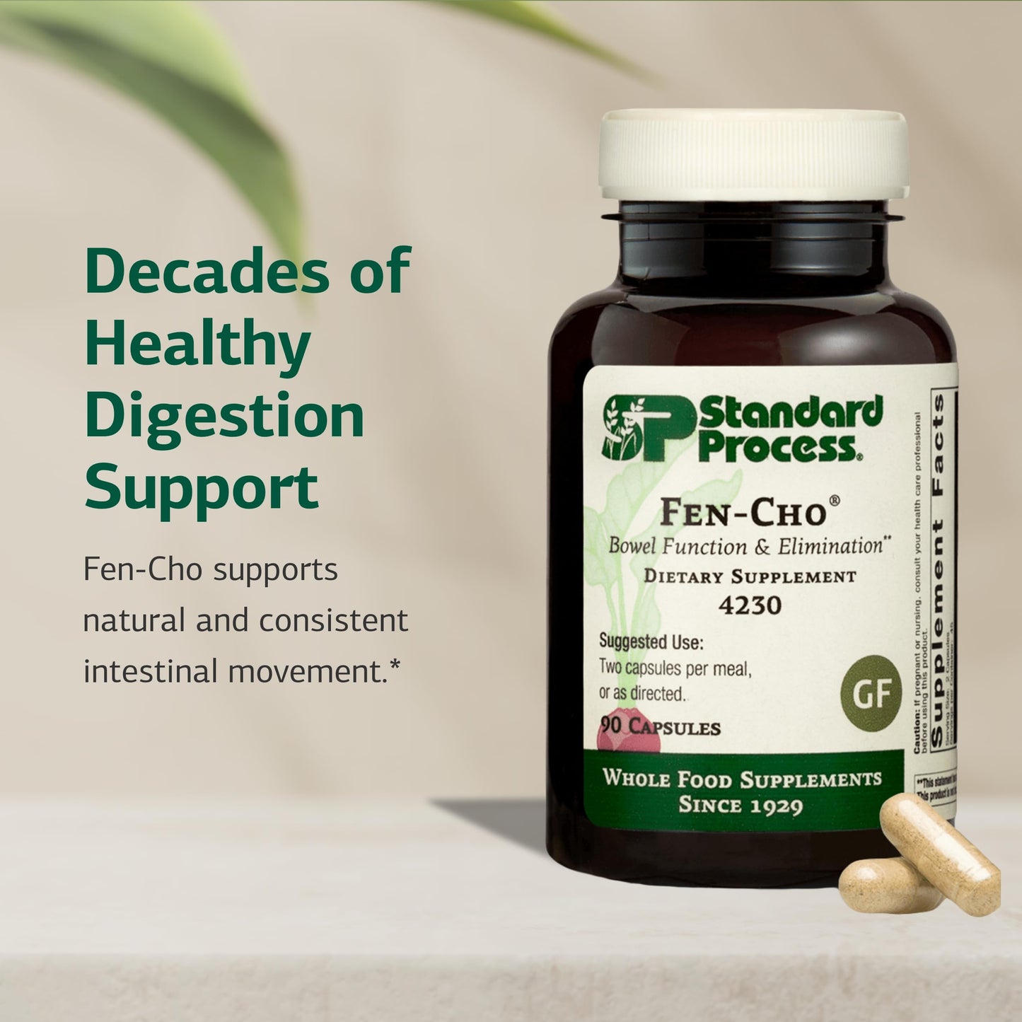 Standard Process Inc. Fen-Cho Digestive & Gut Health Supplement Capsule, 90 Count
