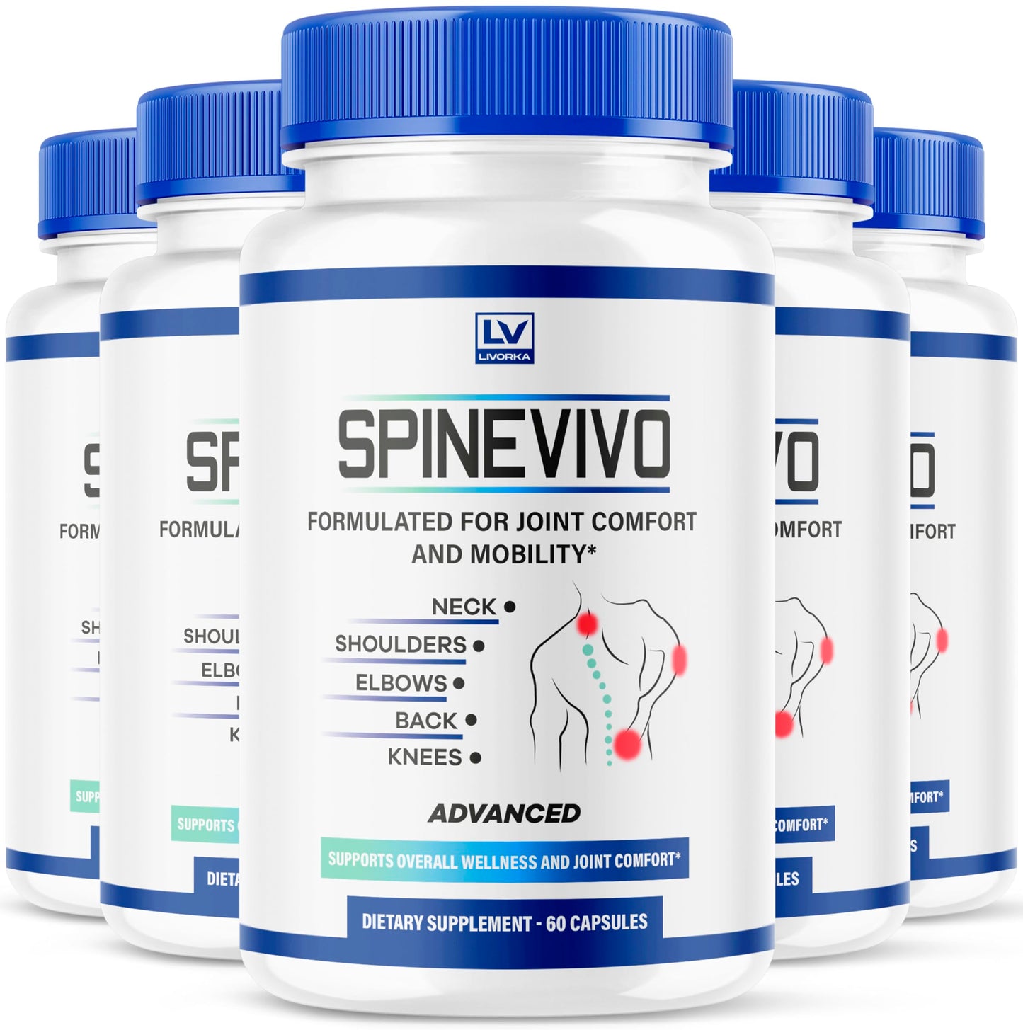 LIVORKA Spine Vivo Plus Capsules, 300 Capsules