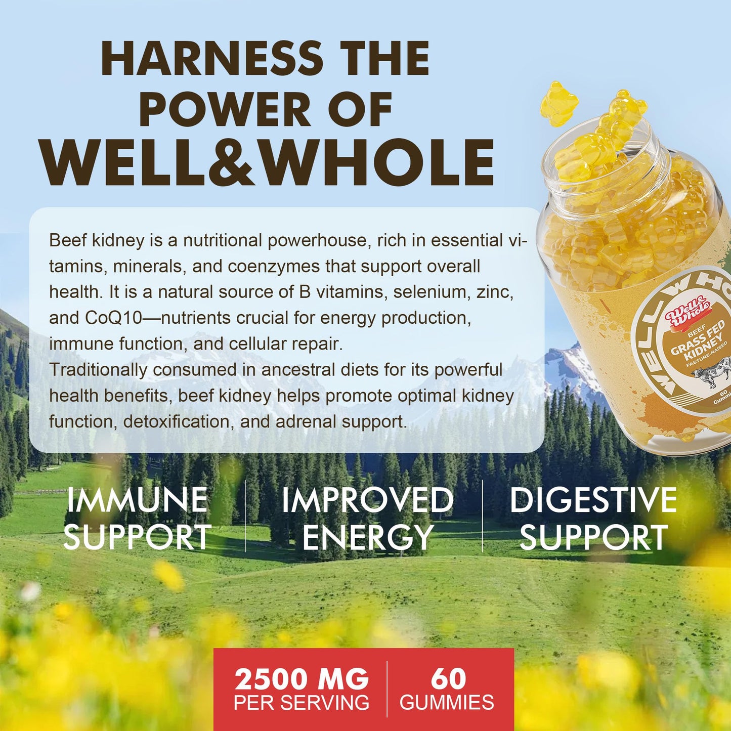 Well&Whole Grass Fed Beef Kidney Gummies DAO Enzyme & Histamine Balance Support Supplement, Gummy, 60 Count