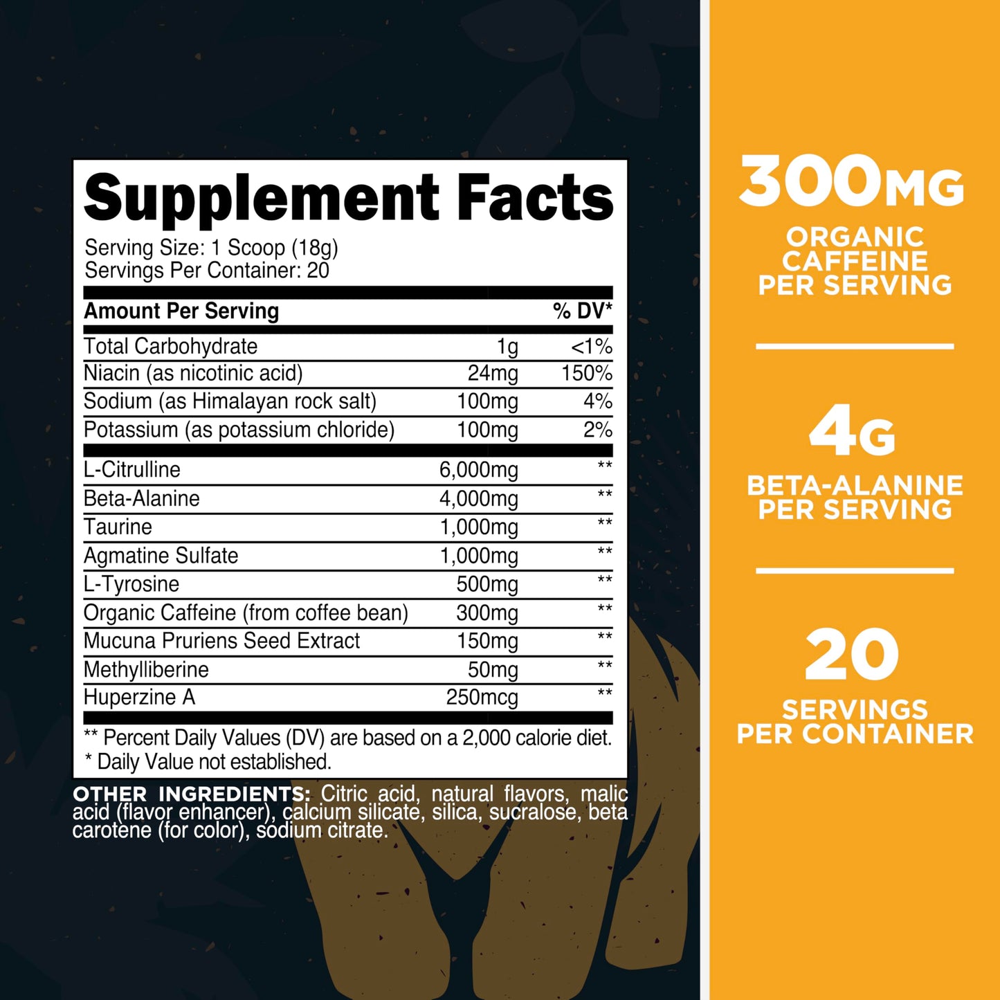 Primal Purge Xtreme Pre-Workout Powder, 12.93 oz