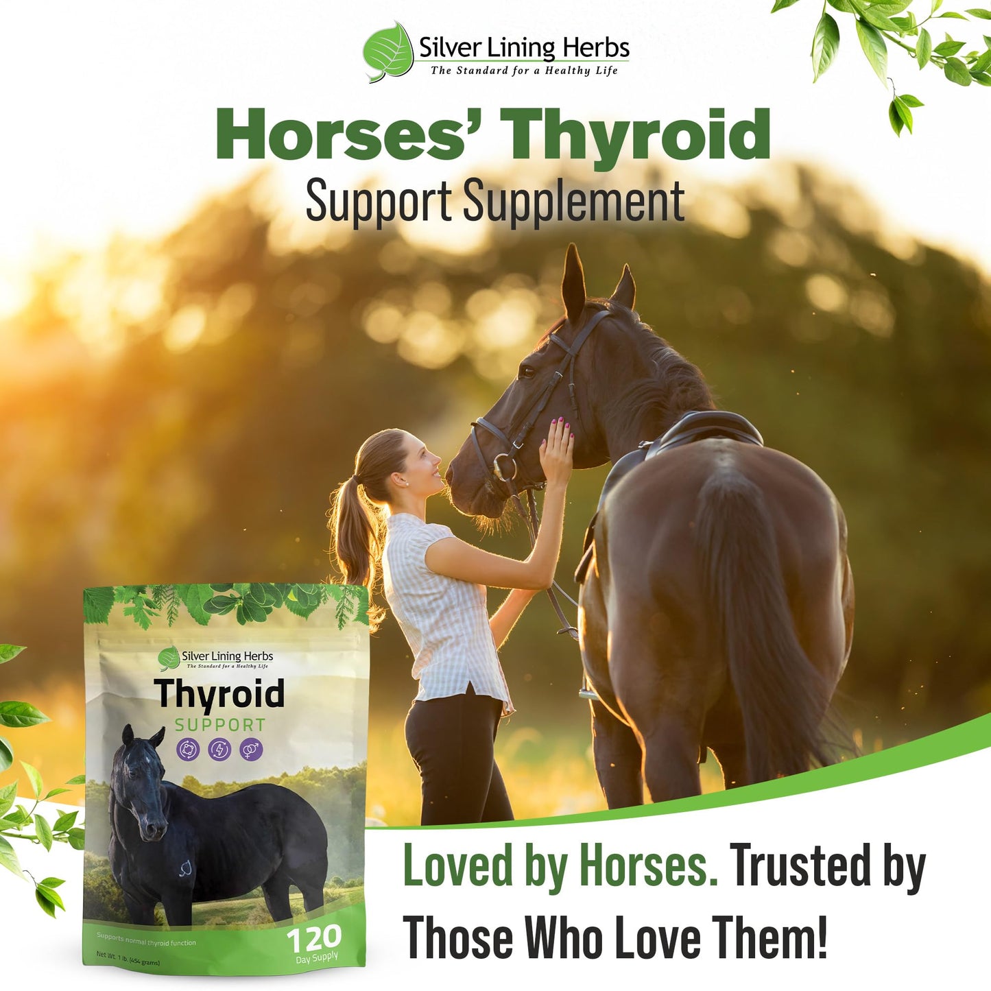 Silver Lining Herbs Thyroid Support for Horses Powder, 1 Unit