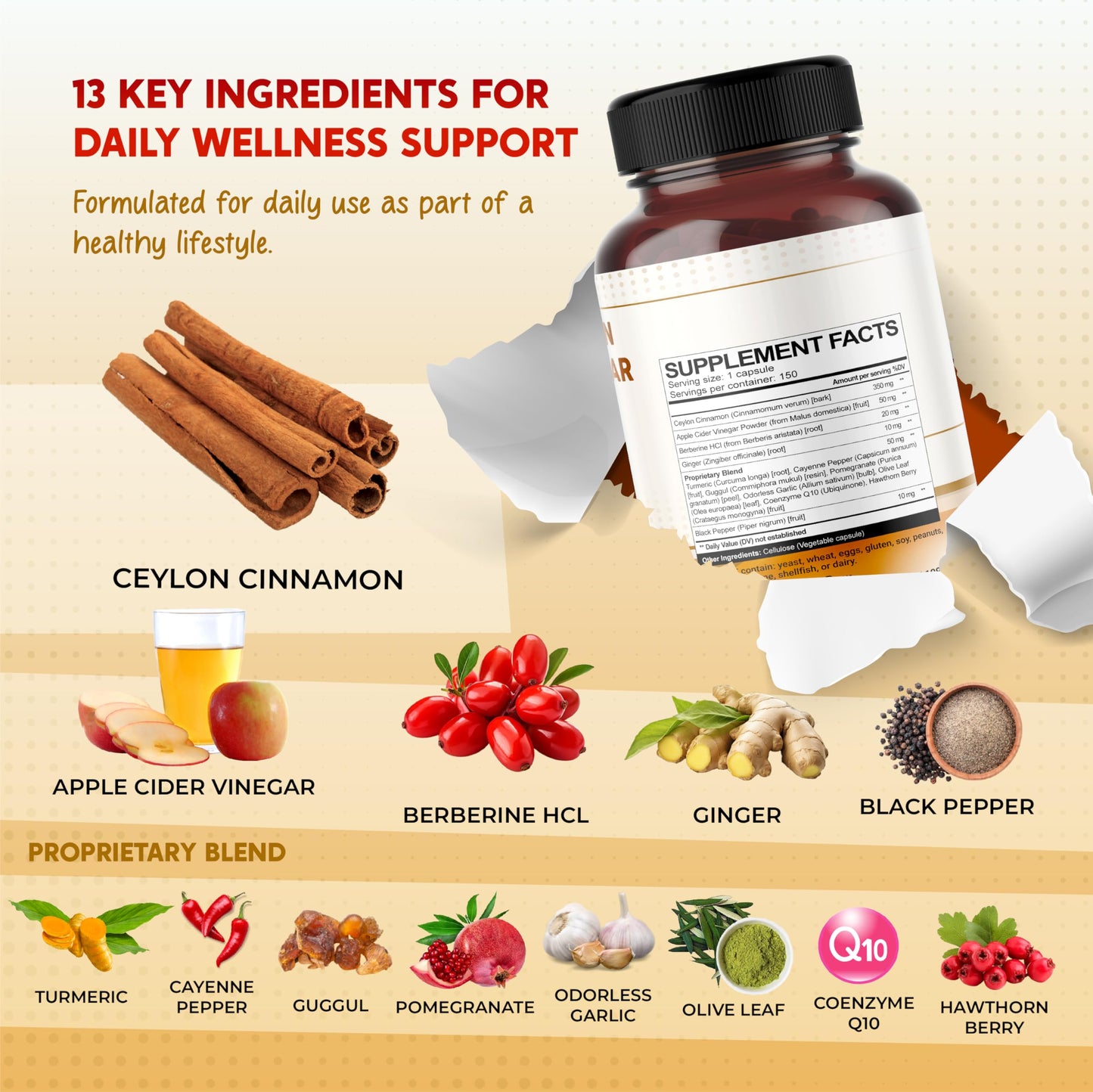 PEAKPURY Ultra All-in-1 Ceylon Cinnamon, Apple Cider Vinegar, Berberine & Ginger Capsules – 150 Count