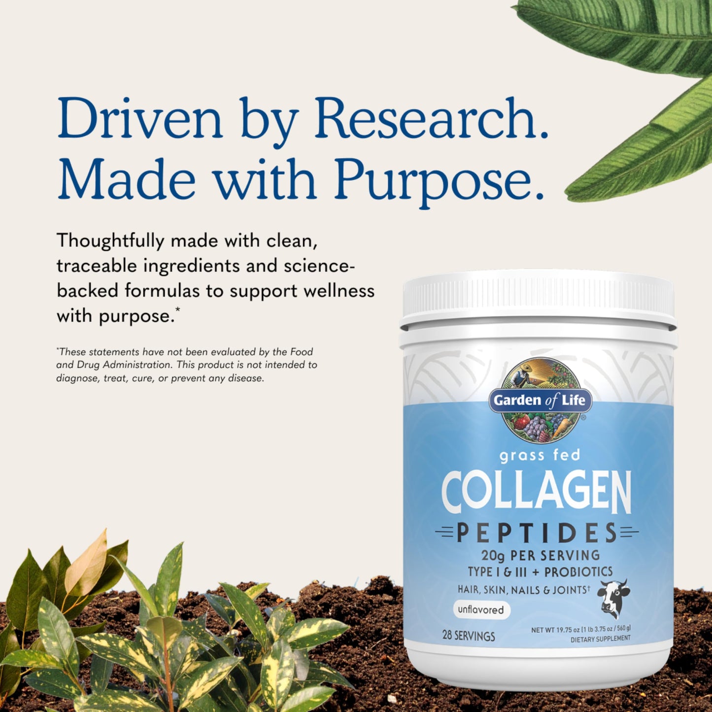 Garden of Life Grass Fed Collagen Peptides Powder Unflavored 19.8 oz