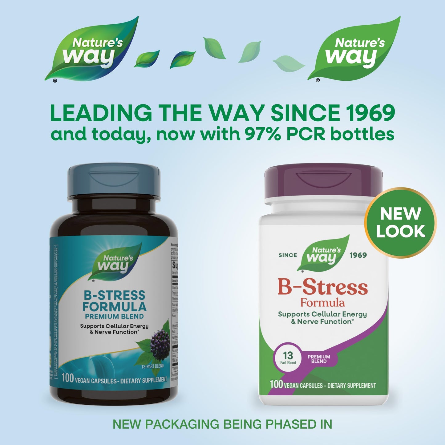 Nature's Way B-Stress Formula Capsules, 100 Count