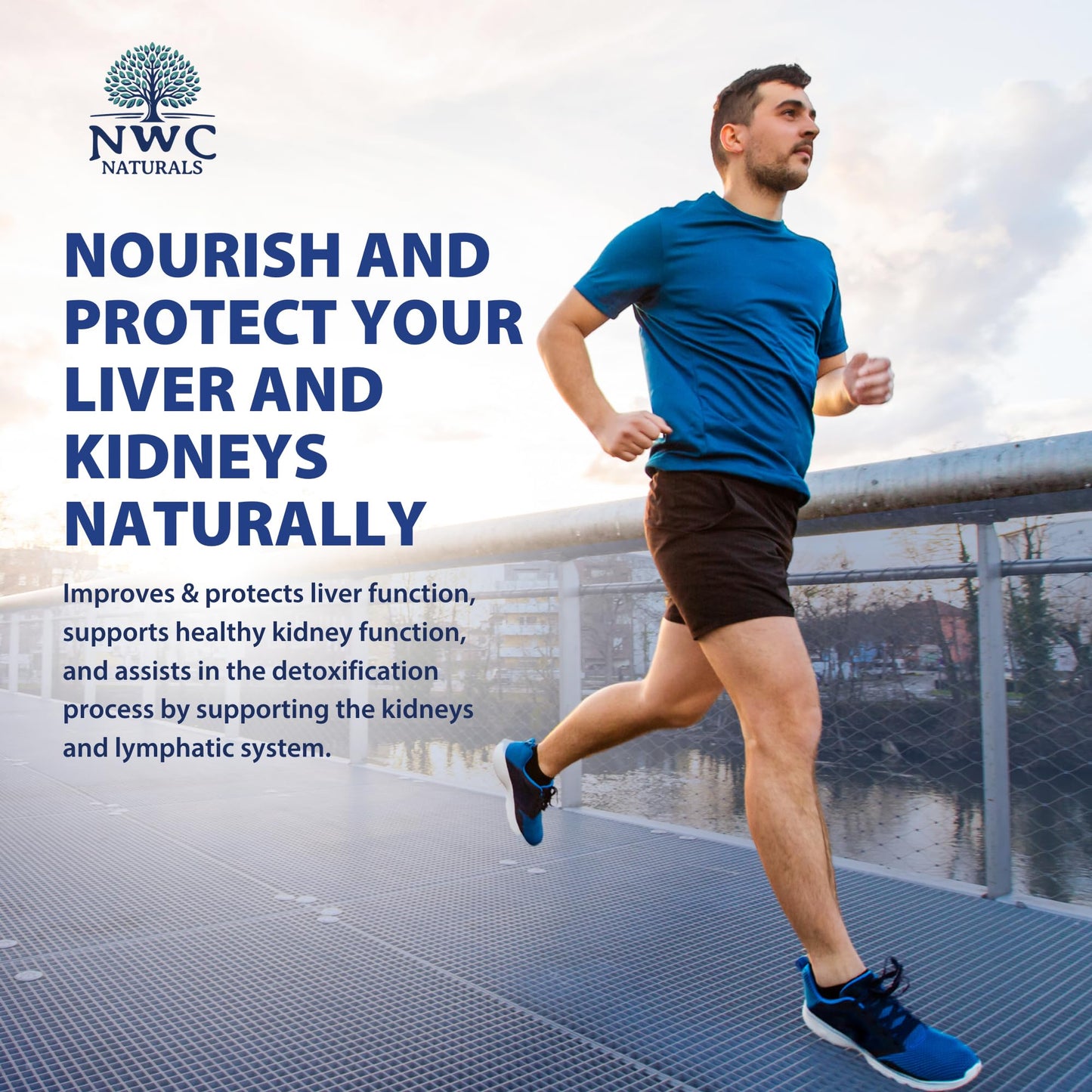 NWC Naturals Transfer-Tox Liver & Kidney Detox and Support Milk Thistle Detox Cleanse Liver Support Supplement for Vital Health & Kidney Function for Men & Women Vegetarian Approved 90 Capsules