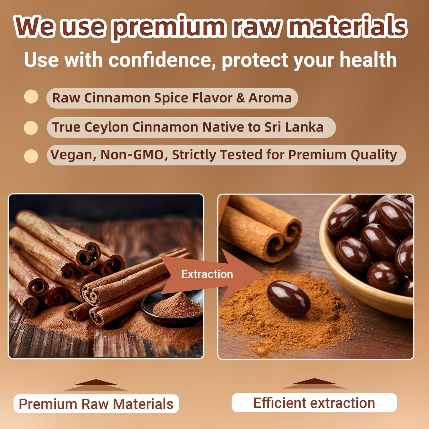 BudLive Ceylon Cinnamon Softgels, 300 Softgels