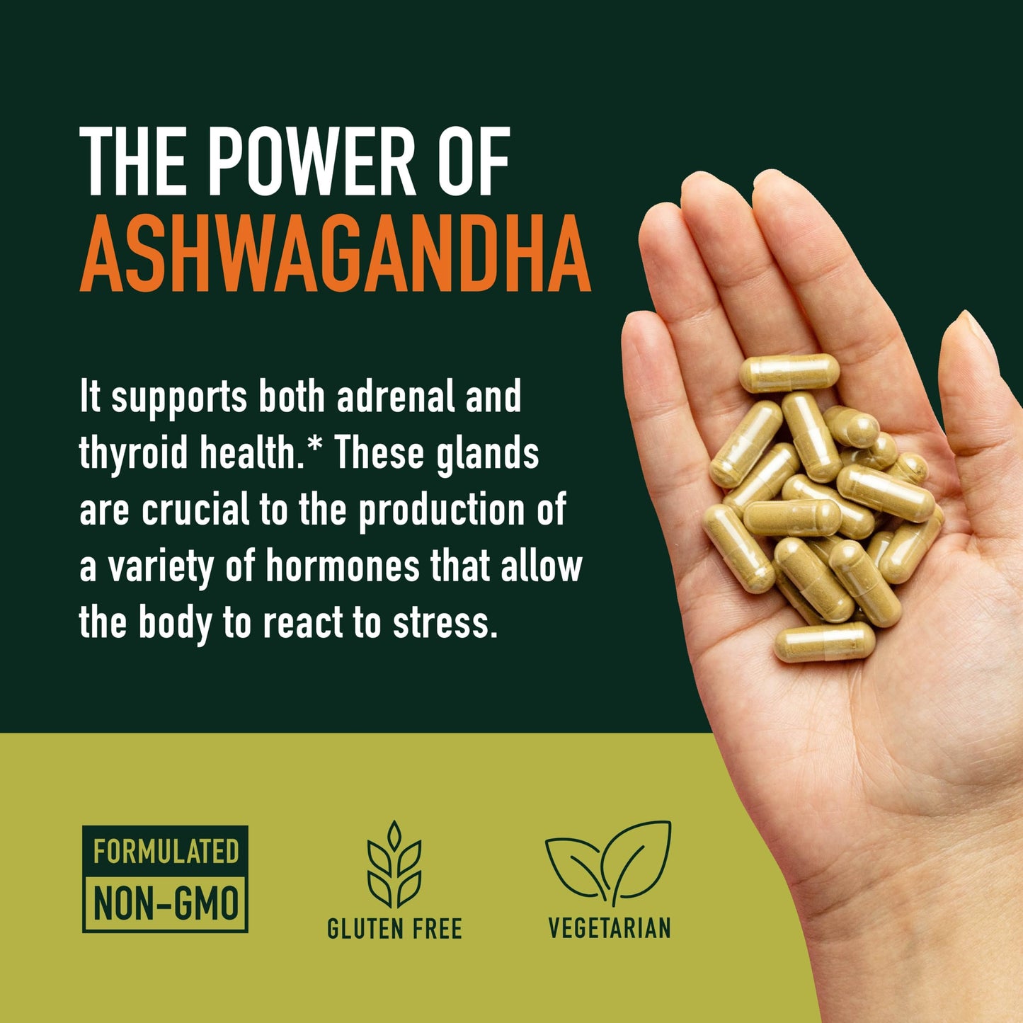 SMNutrition Ashwagandha Supplement 1300mg, Stress Resistance & Energy, High Absorption Capsule, 120 Capsules